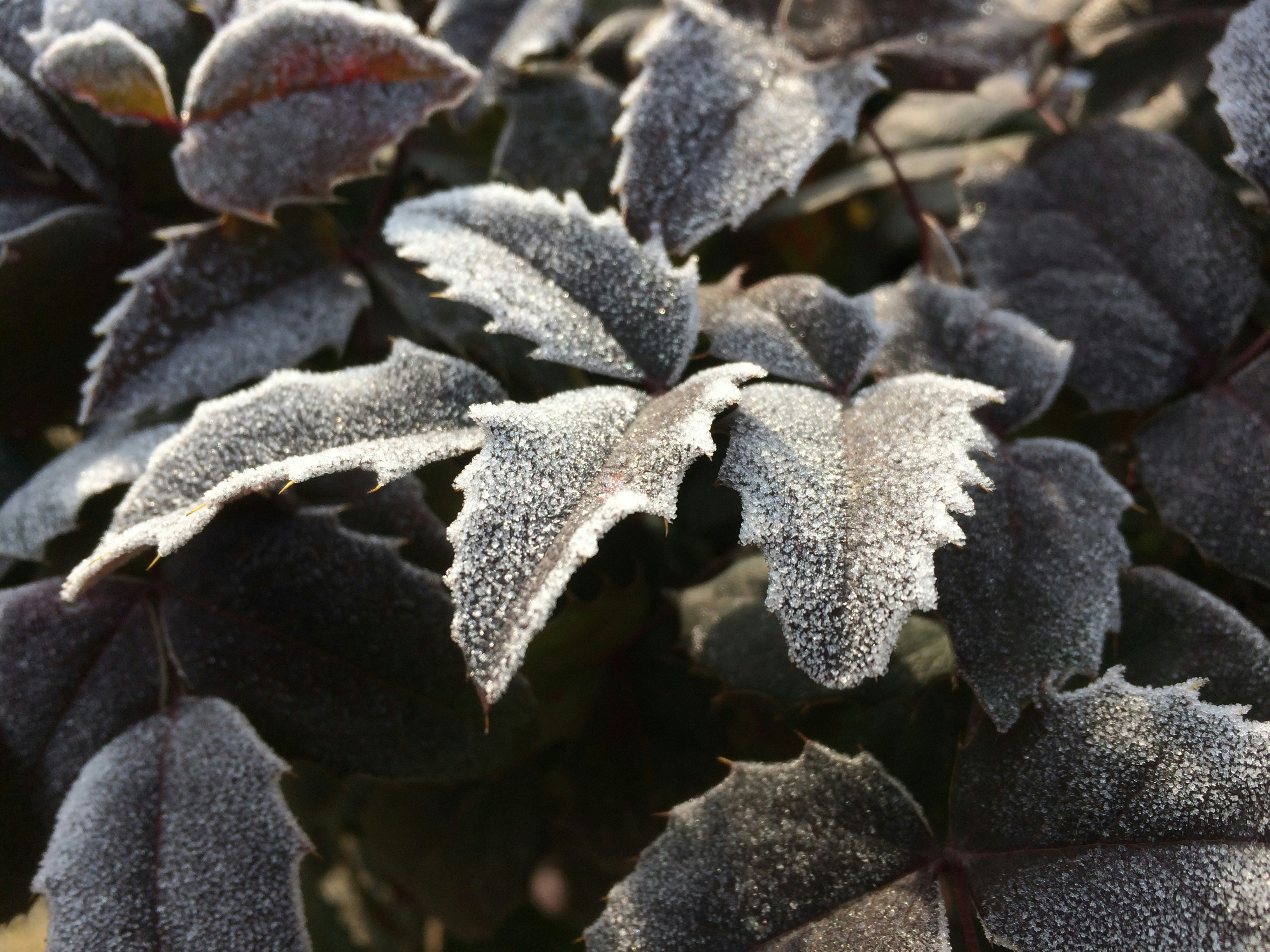 Free Unsplash photo from Yusuf Ortaç