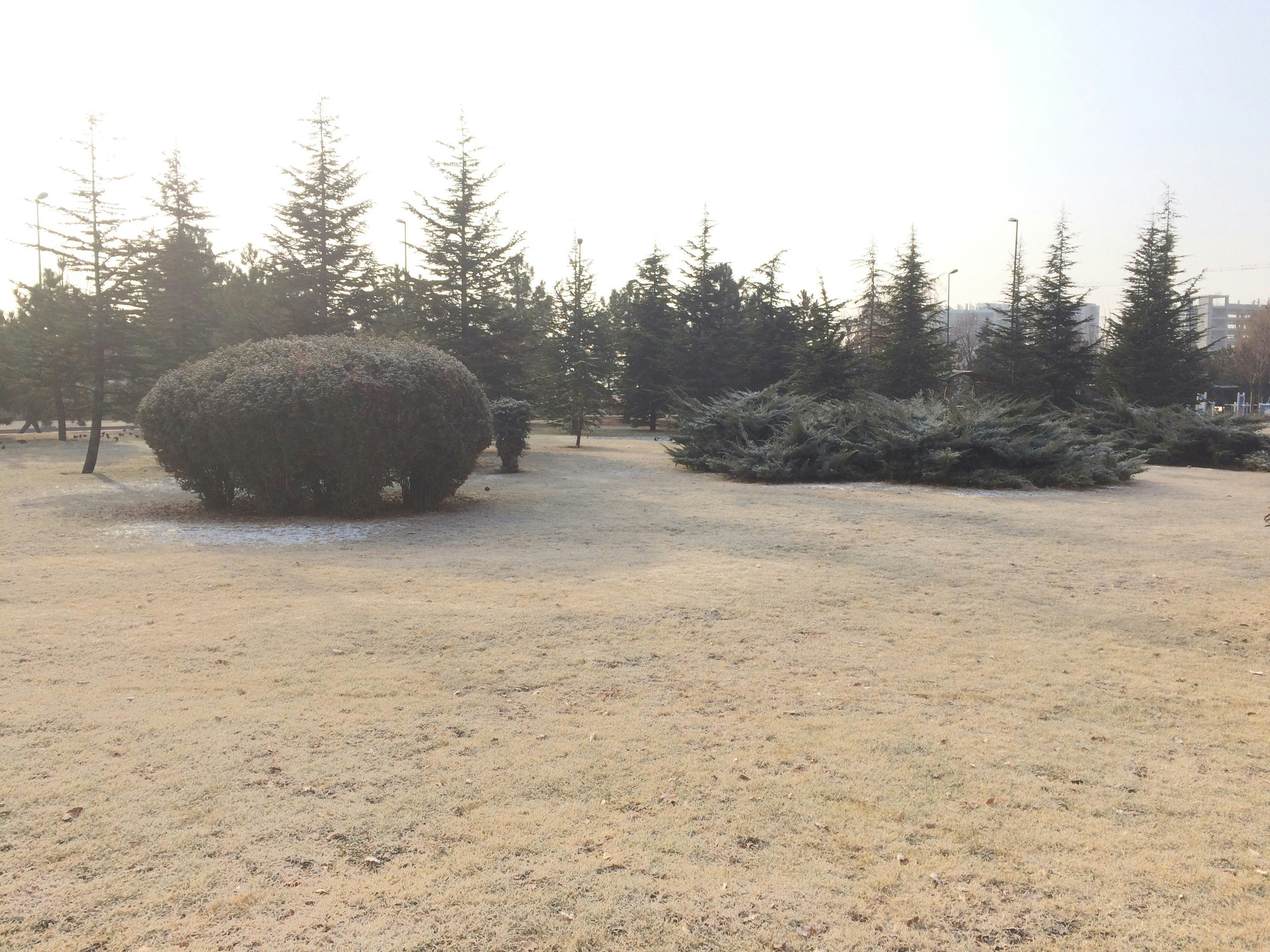 Free Unsplash photo from Yusuf Ortaç