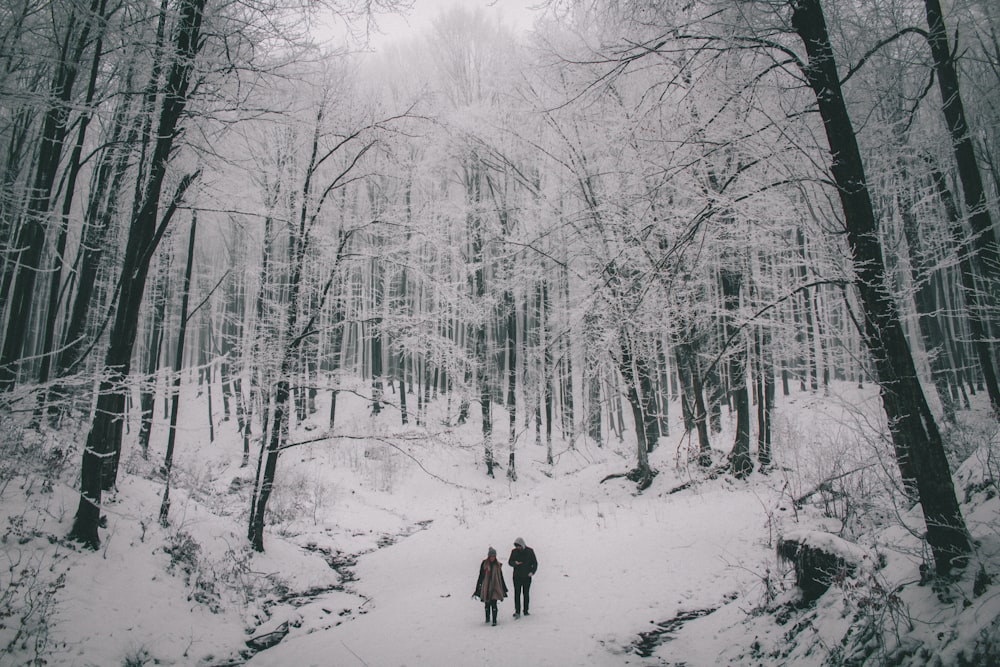 duas pessoas caminhando na neve