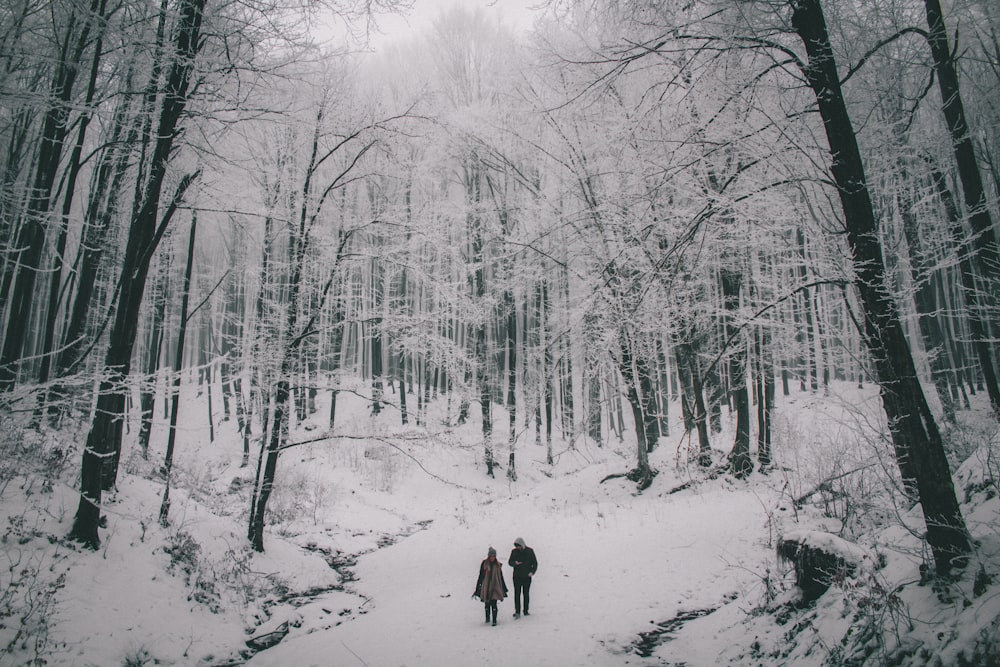 two person walking on snow