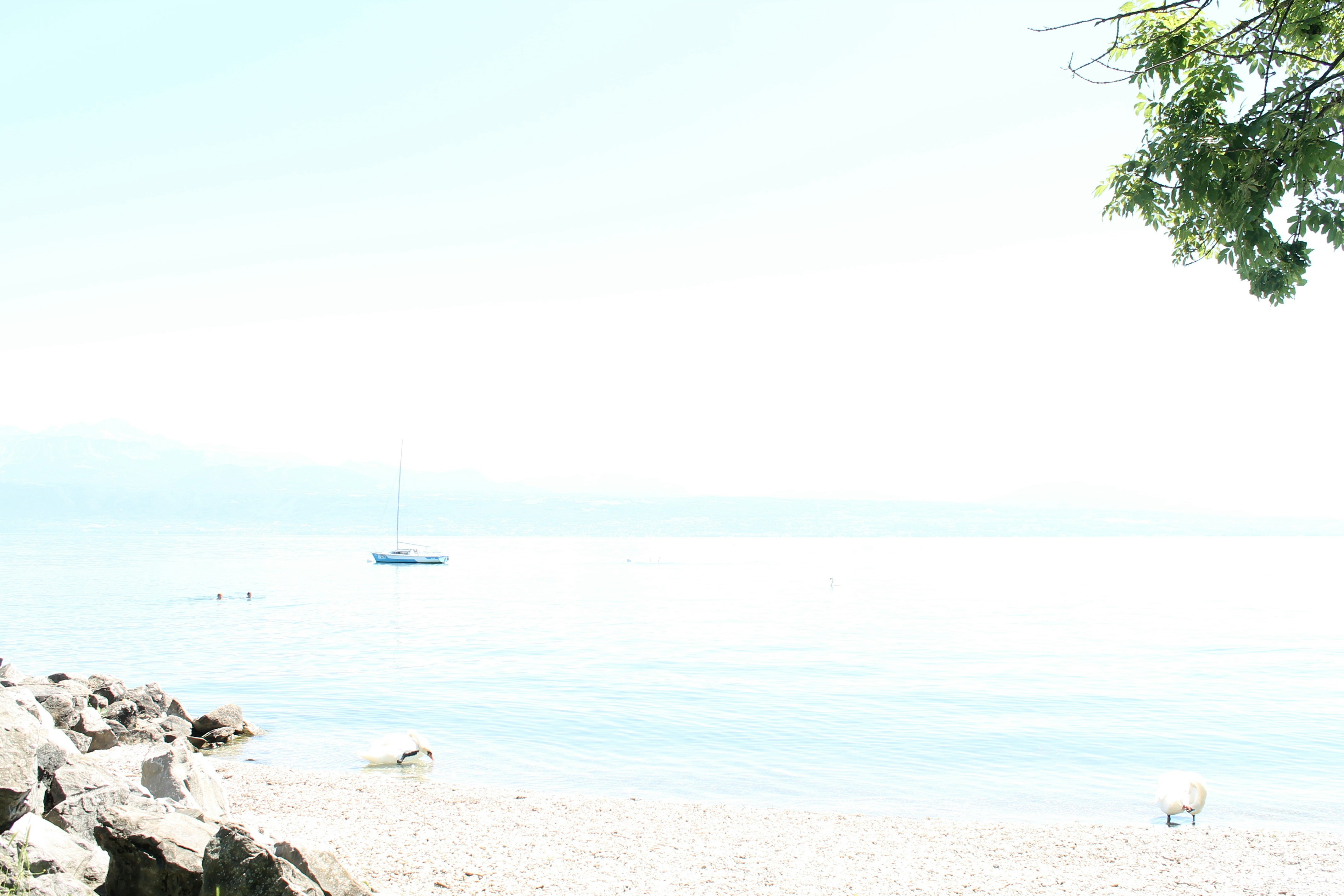 Free Unsplash photo from Ivann Schlosser