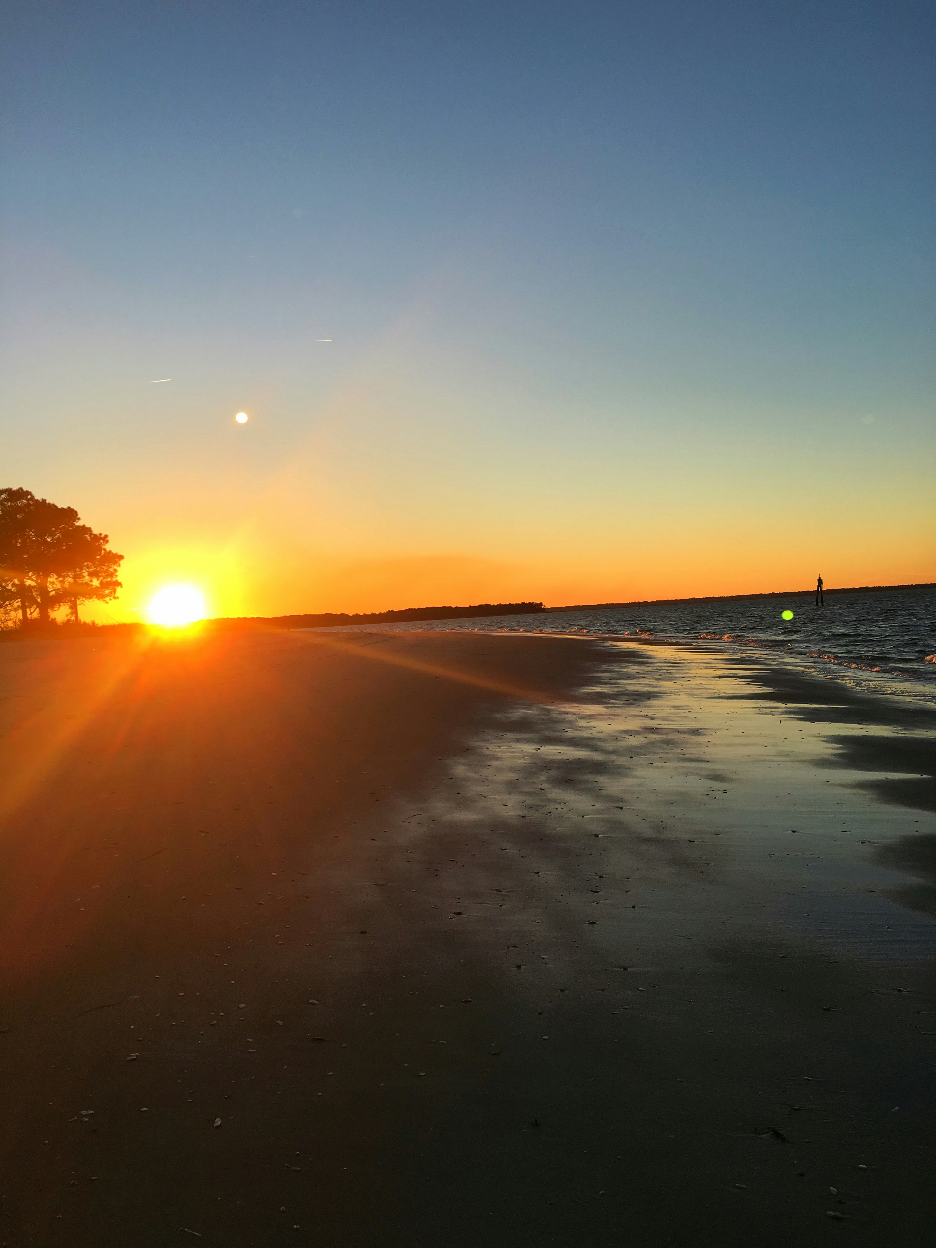 Free Unsplash photo from Jacob Pritchard