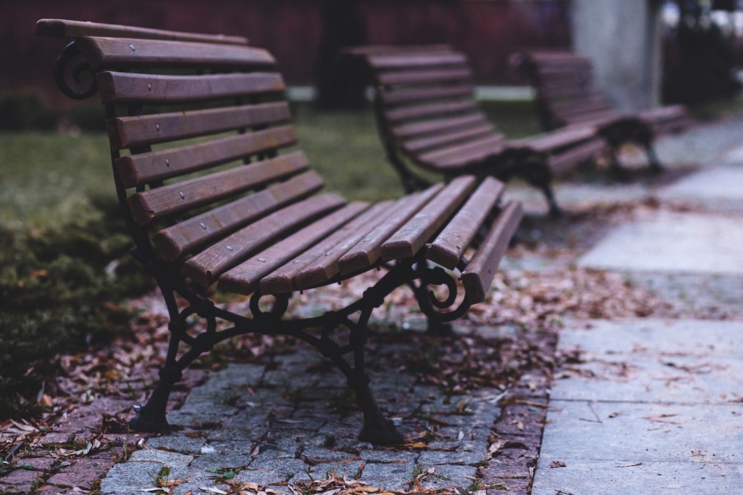 brown wooden bench near green grass,