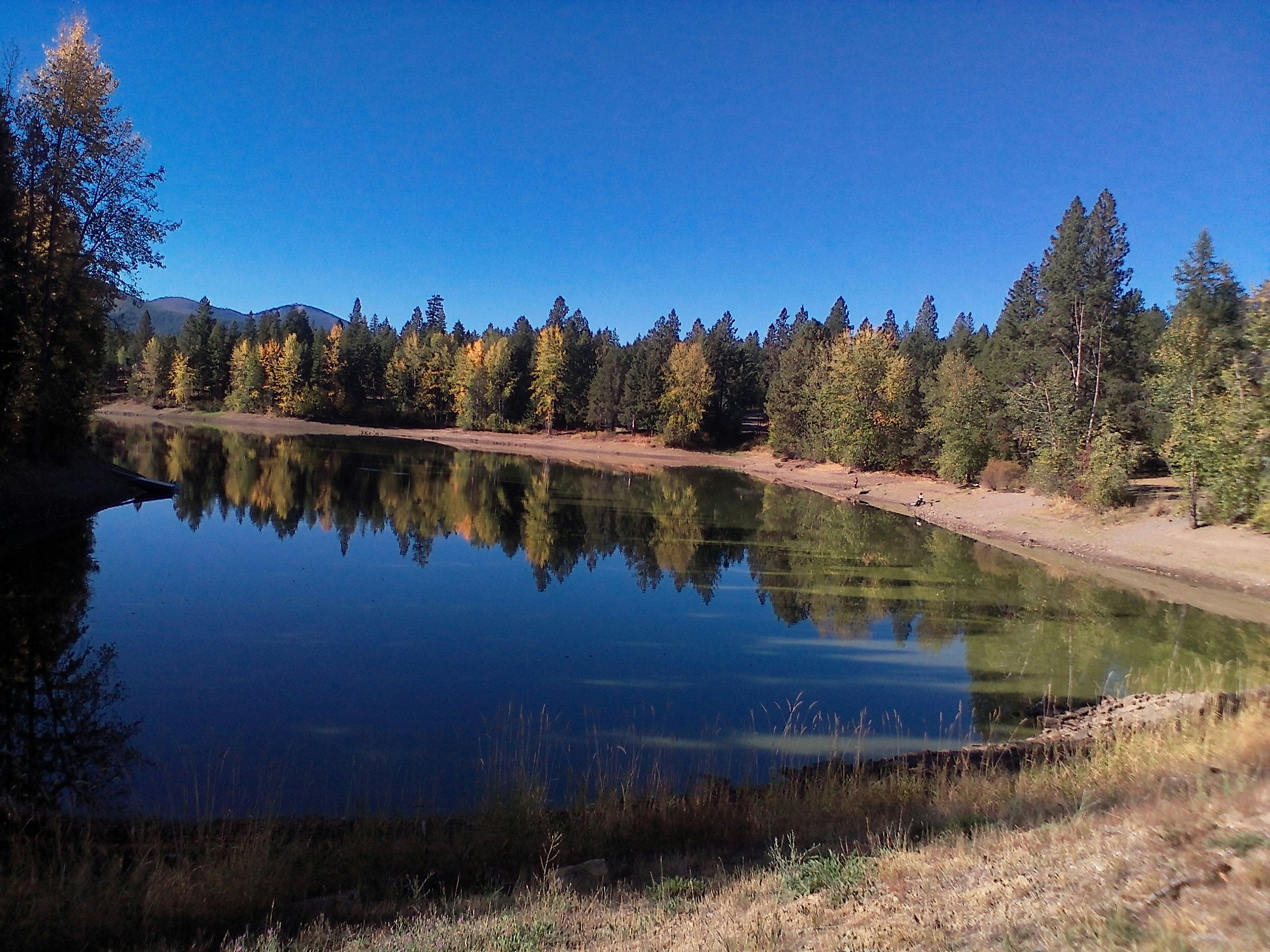 Free Unsplash photo from Curposney Gdane