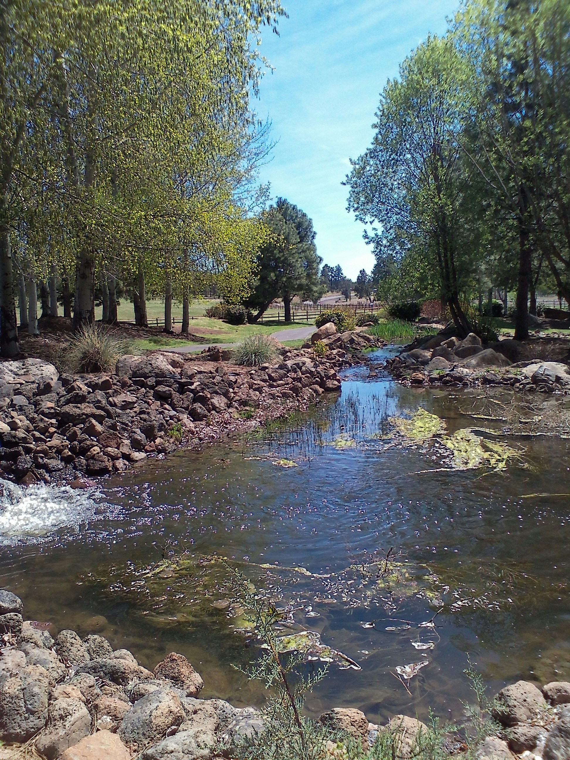 Free Unsplash photo from Curposney Gdane