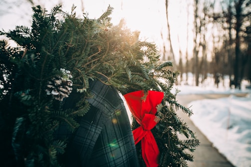 An elegant winter wreath decorated with pinecones and snowflakes.
