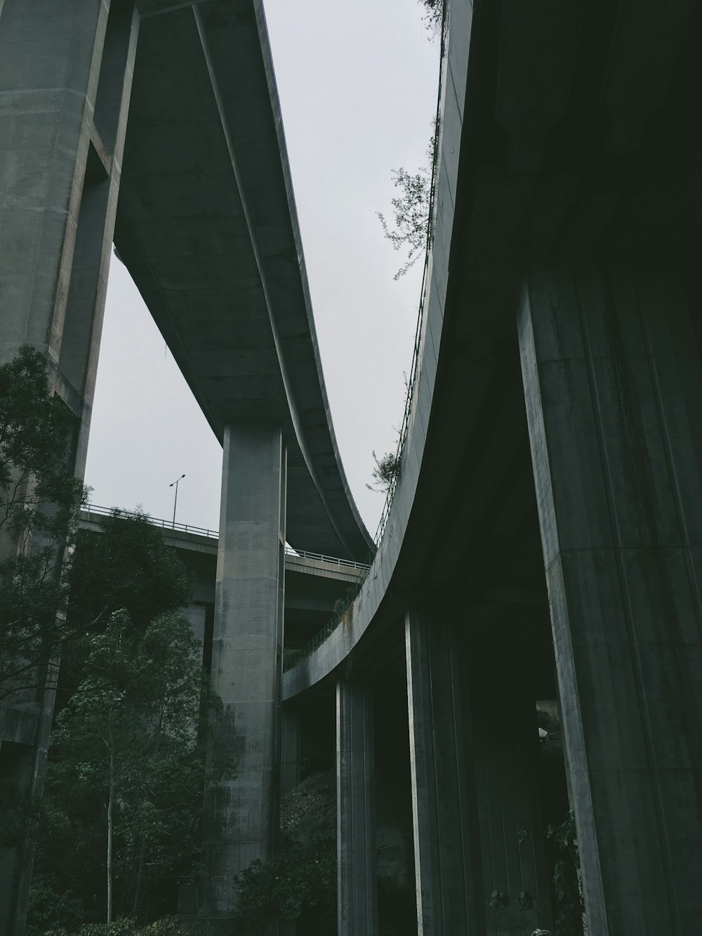 Fotografía en escala de grises y ángulo bajo de un puente de hormigón gris