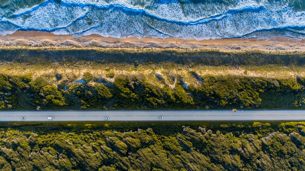 gray asphalt road in between green trees at daytime