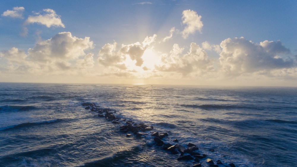 body of water during daytime