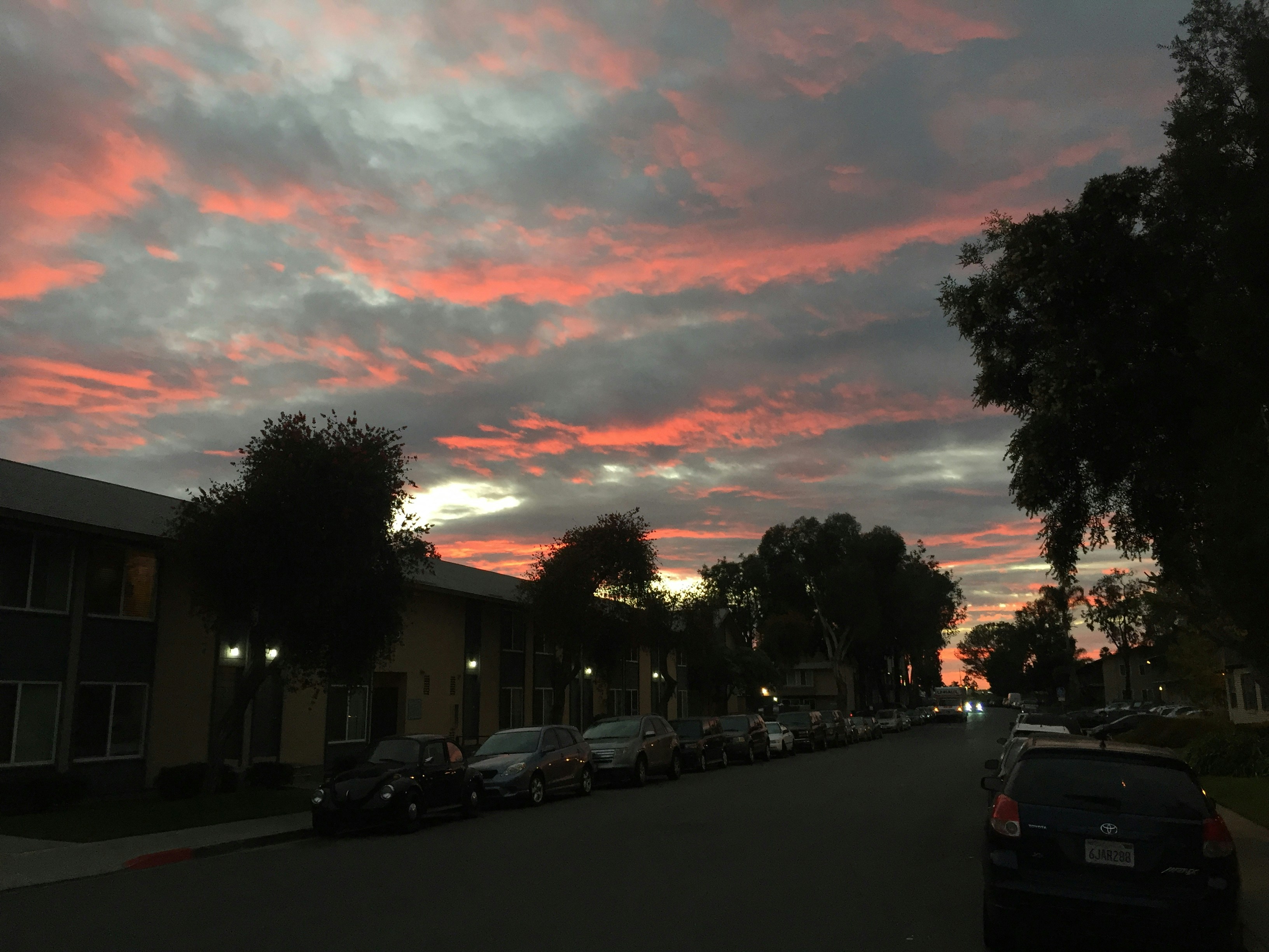 Free Unsplash photo from Denis Lesak