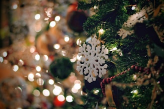 A cozy winter scene with snow-covered pine trees and twinkling holiday lights surrounding eco-education books and games.