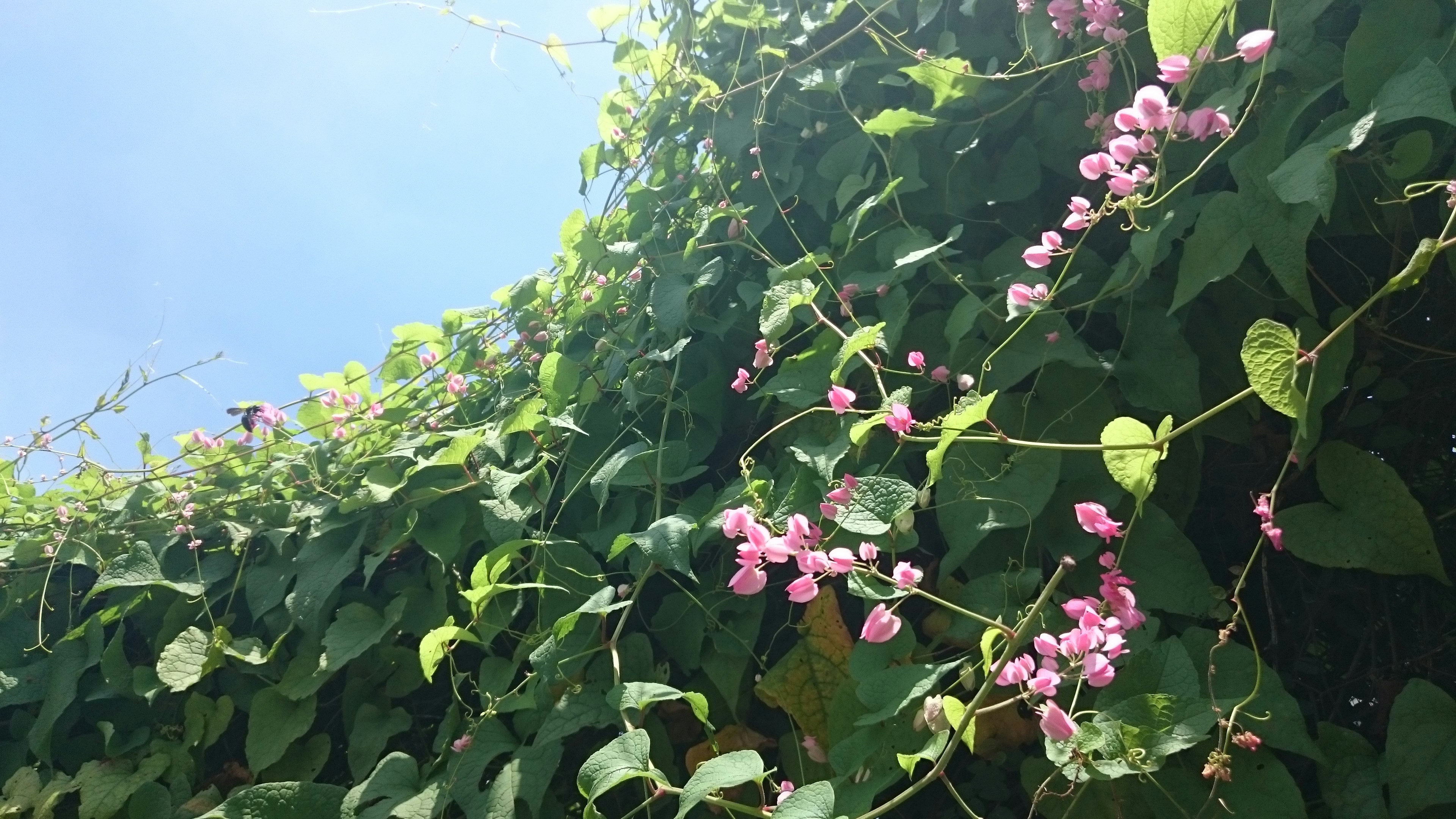 Free Unsplash photo from Peyrong Yang