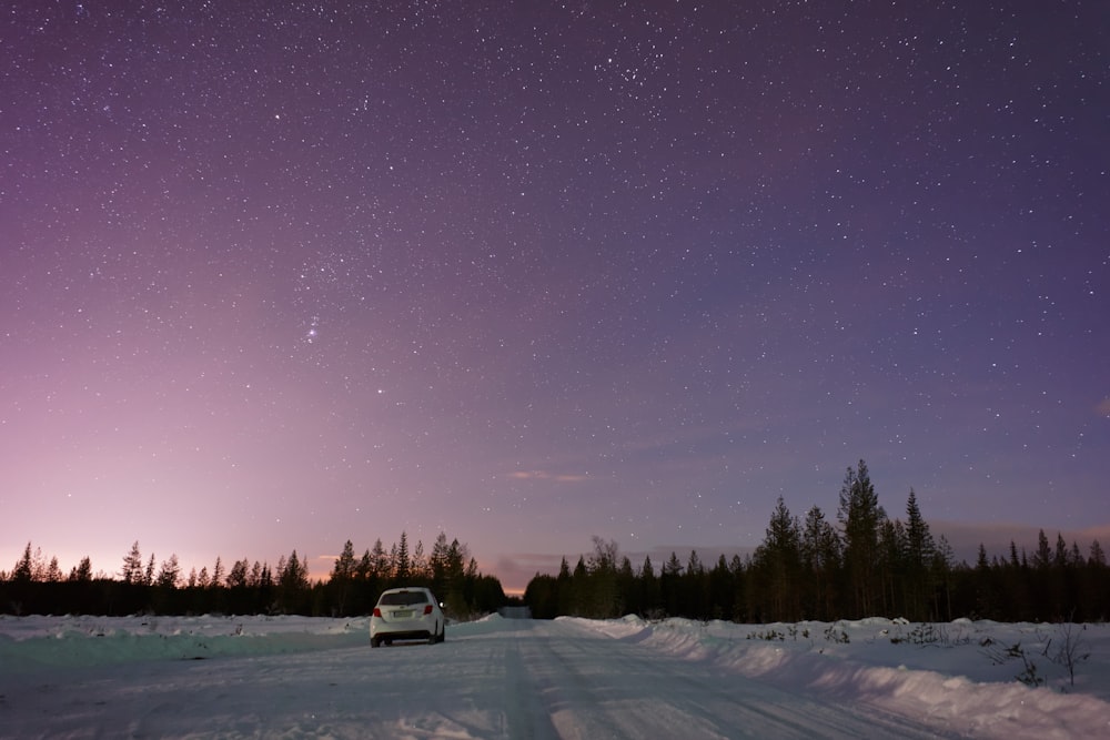 voiture sur une route enneigée entourée d’arbres verts