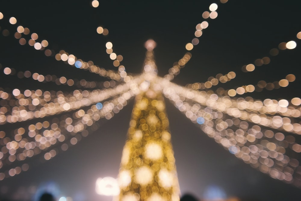 bokeh photography of Christmas tree