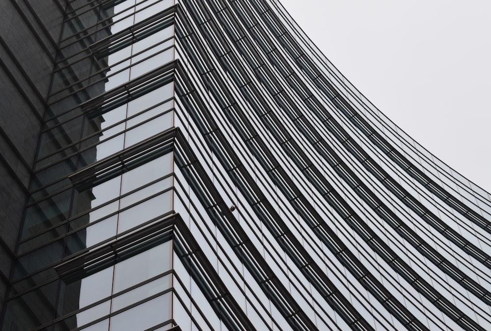 worm's eye view of tall glass building