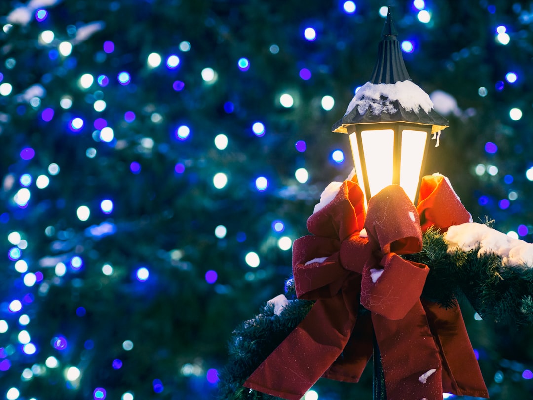 Tips for Preventing Mold on Ornaments and Decorations