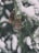shallow focus photography of pine cone
