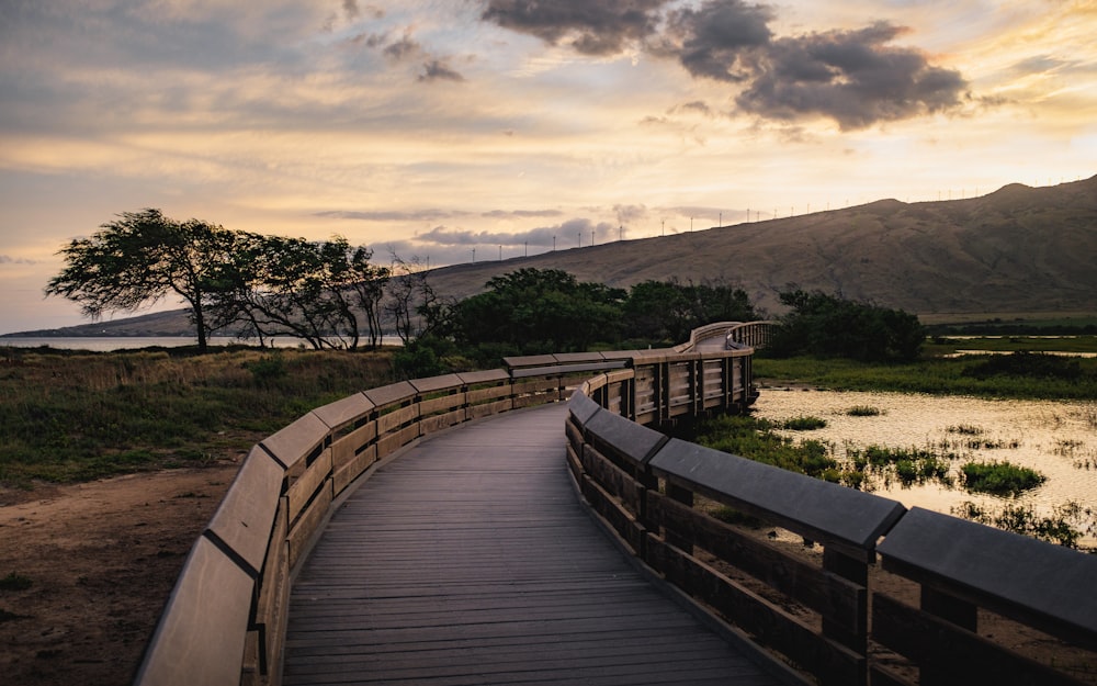 brown wooden pathway