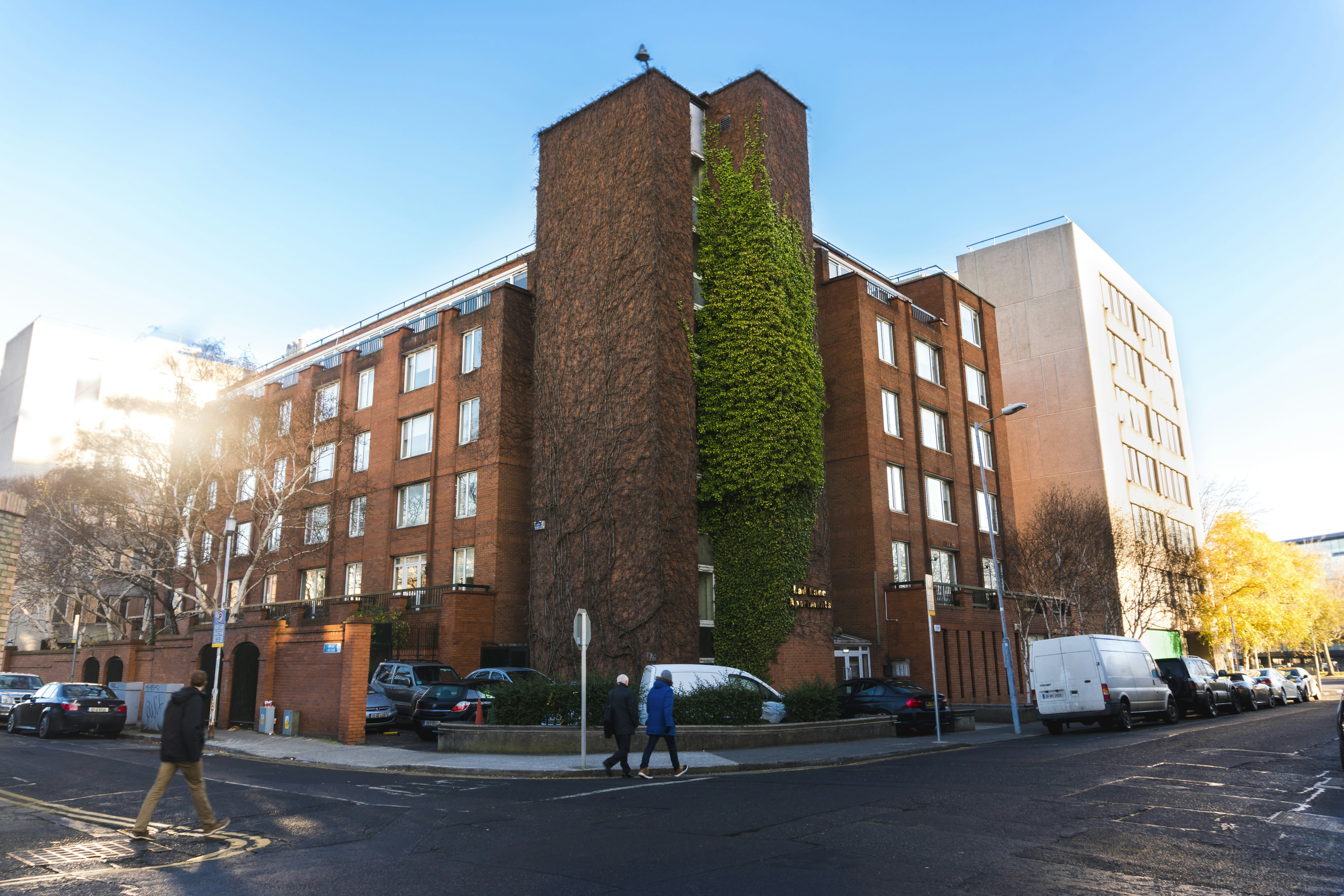 Free Unsplash photo from Robert Alves de Jesus