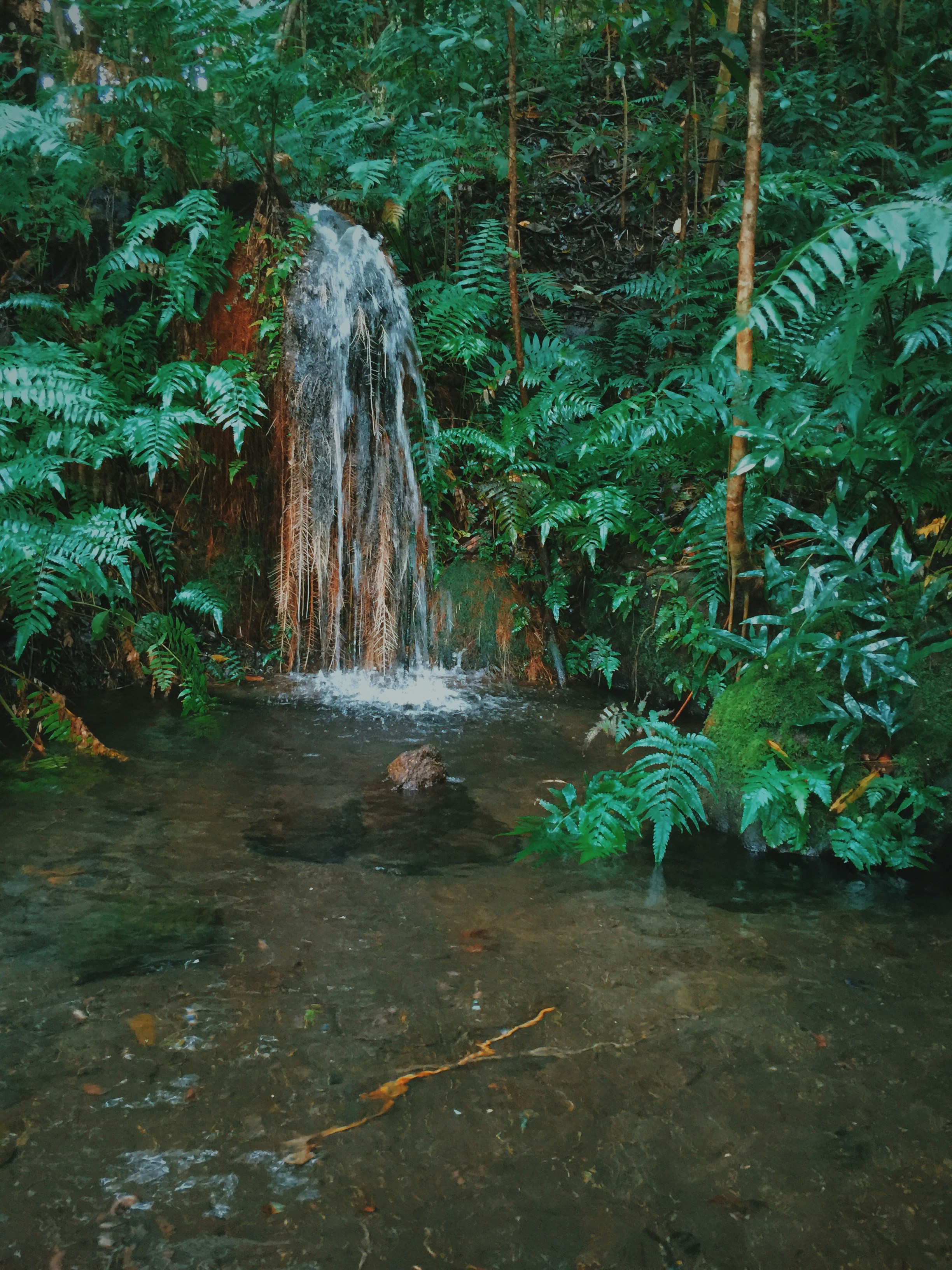 Free Unsplash photo from Nicholas Lang