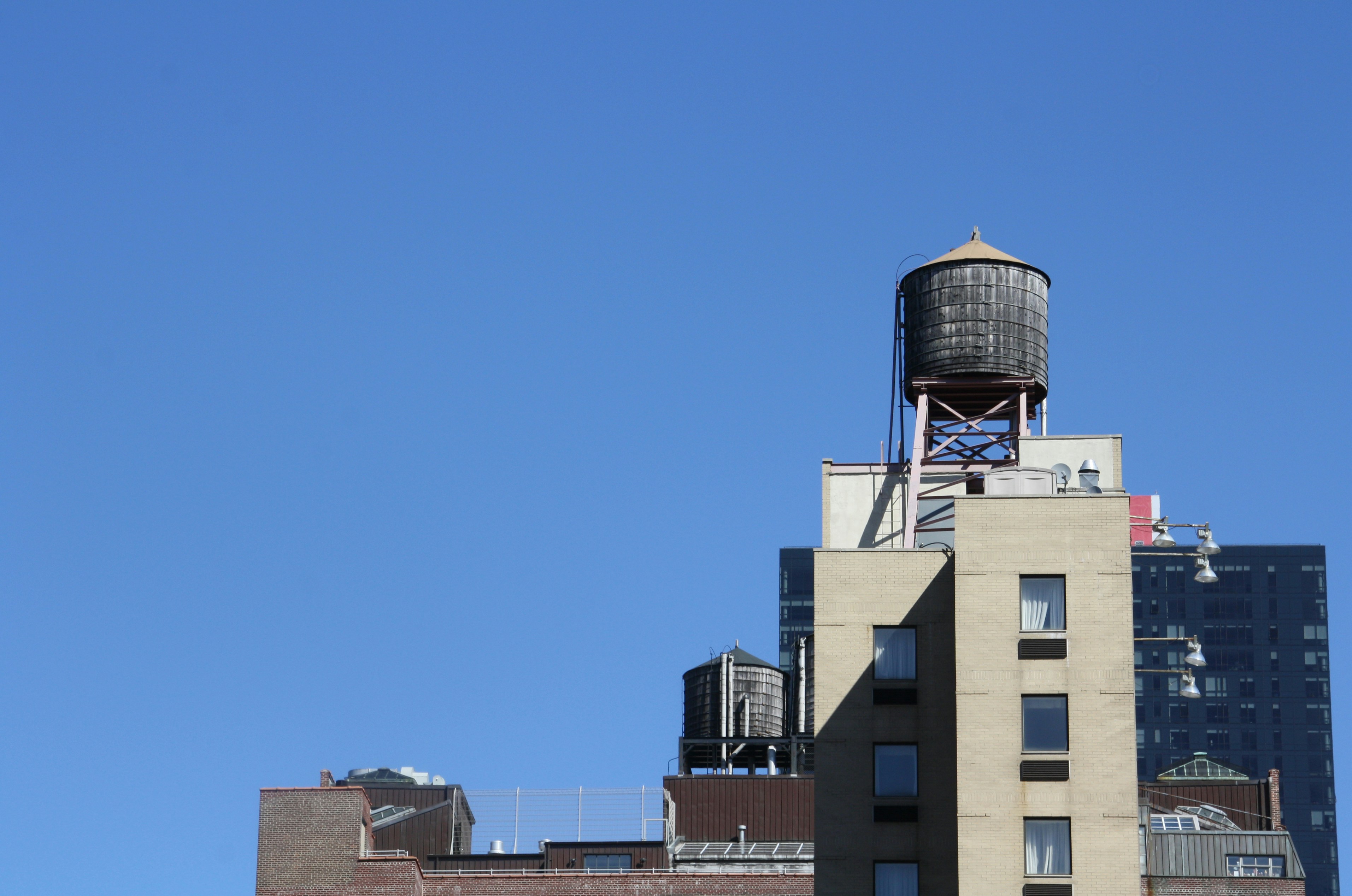 Free Unsplash photo from Glen Millen