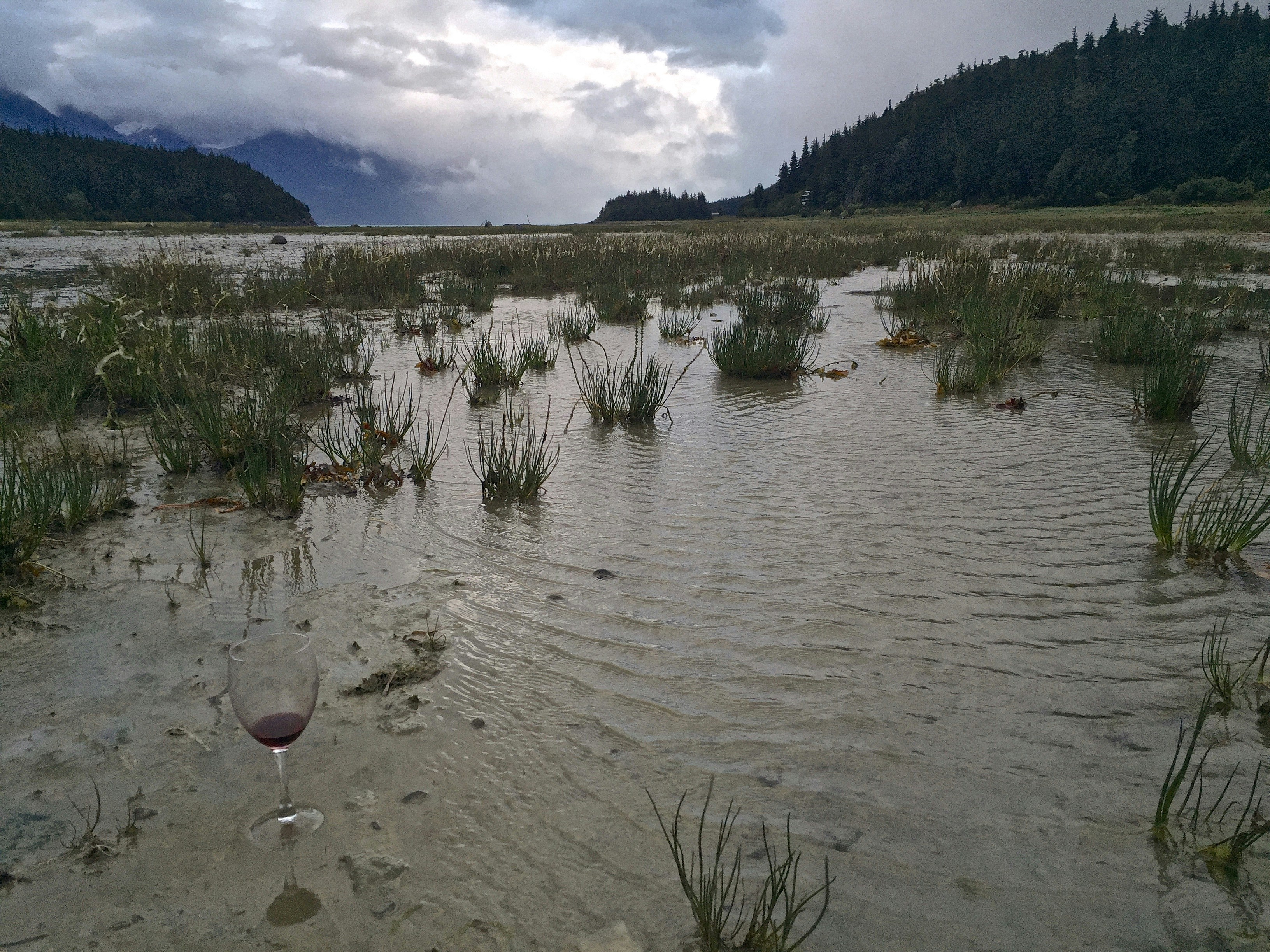 Free Unsplash photo from Greg Sellentin