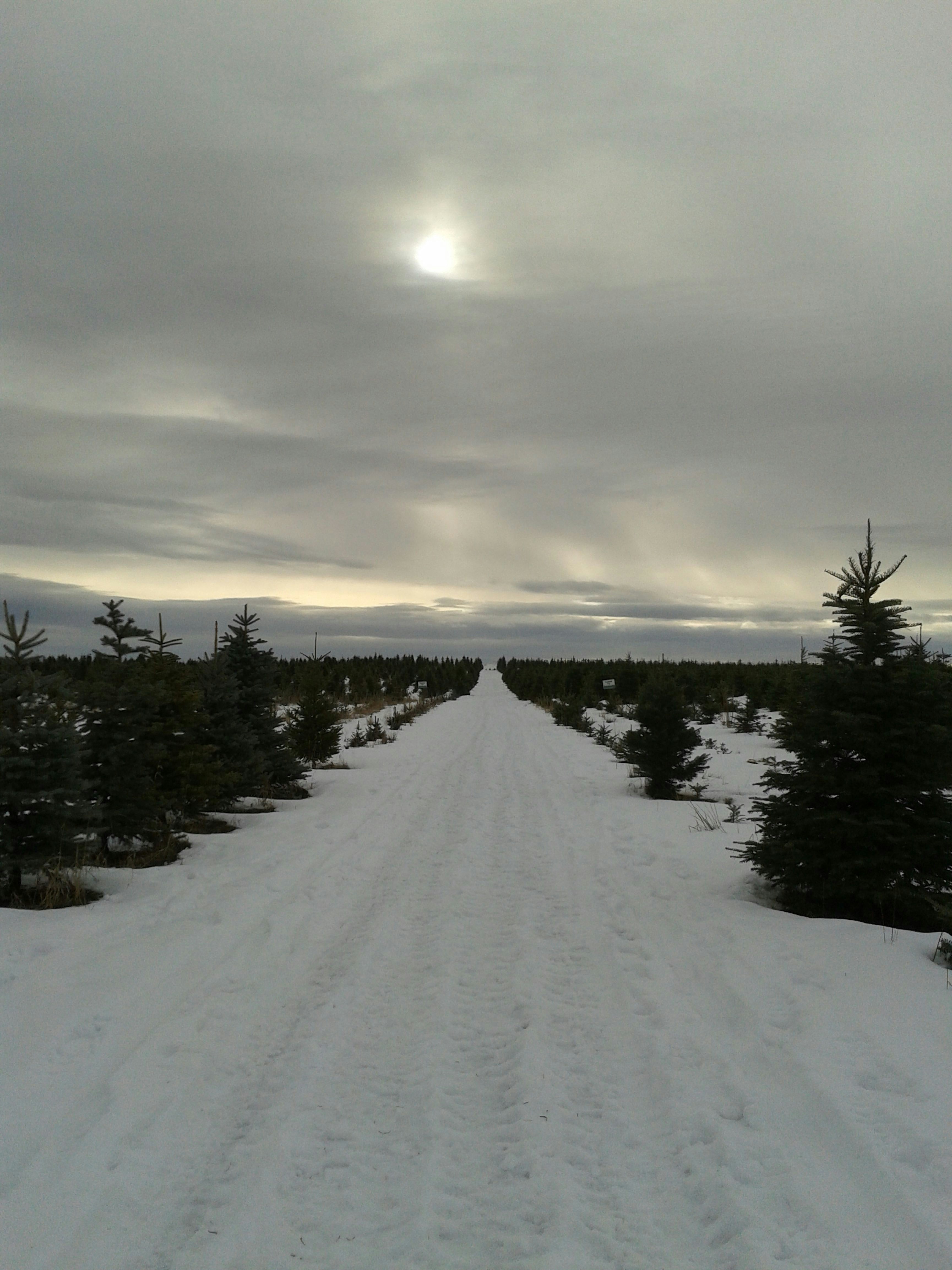 Free Unsplash photo from Sunny Cadwallader