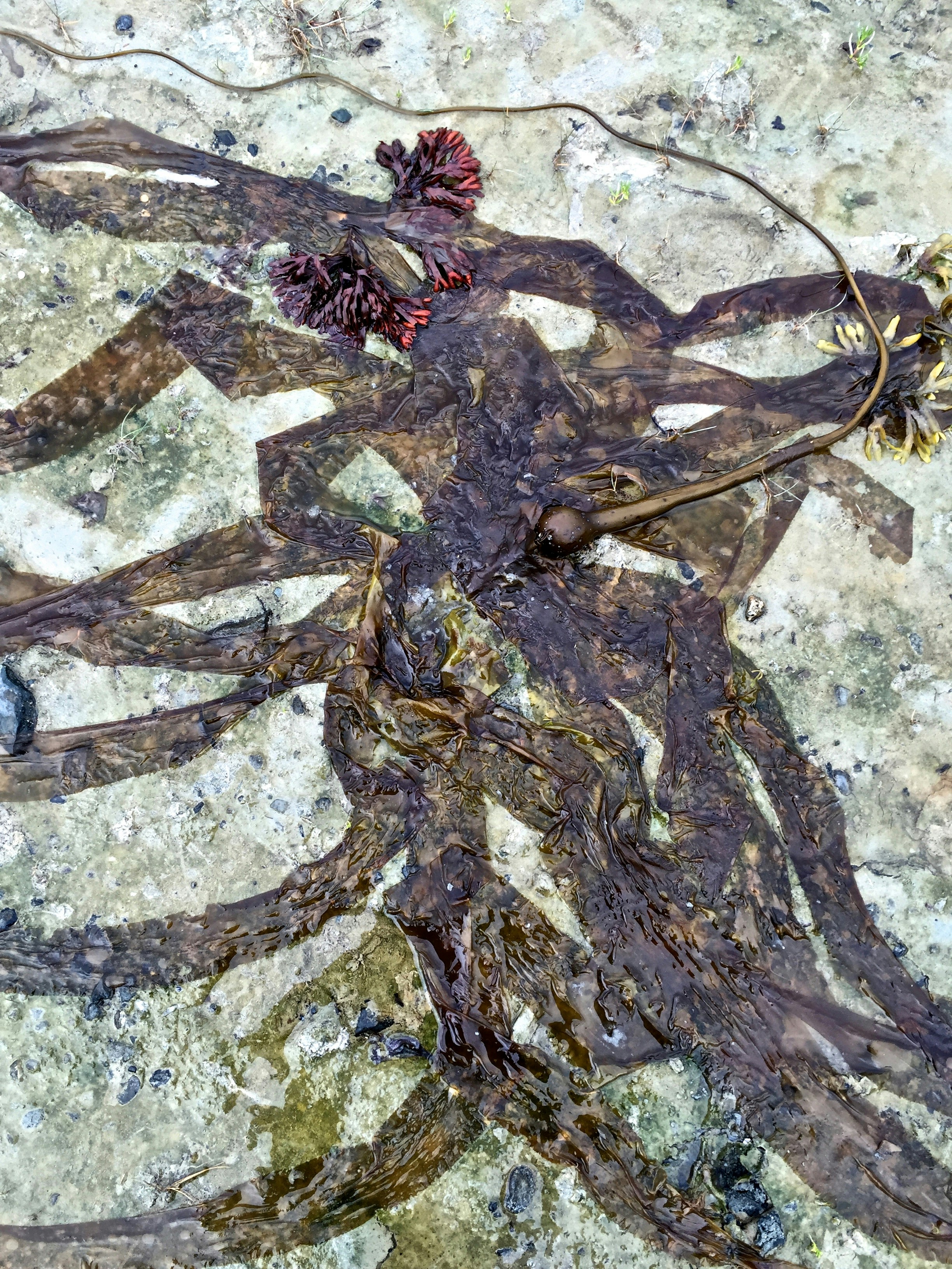 Free Unsplash photo from Greg Sellentin