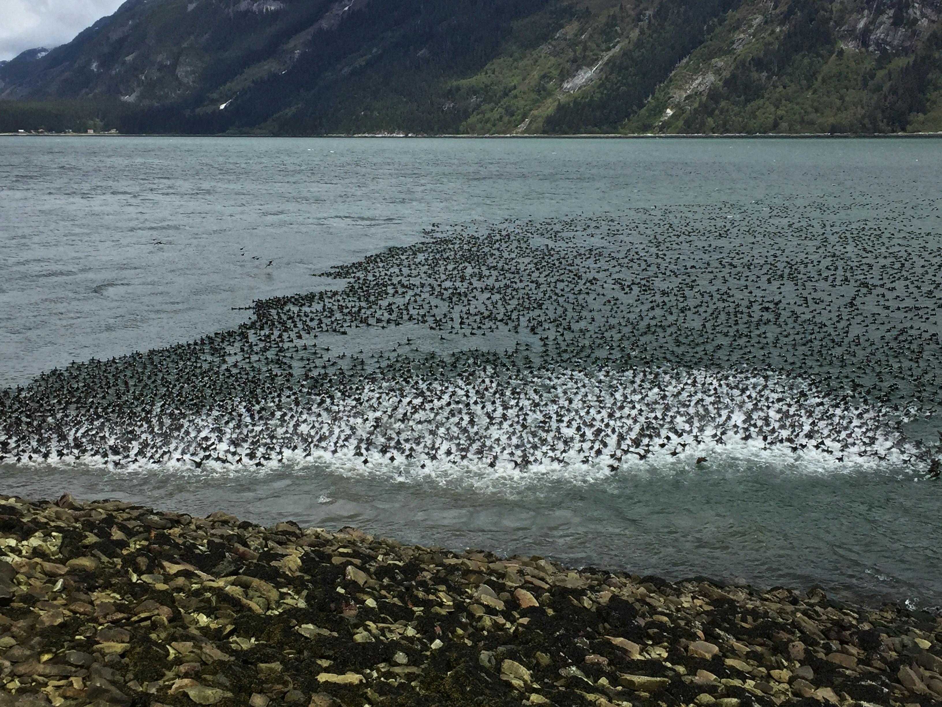 Free Unsplash photo from Greg Sellentin