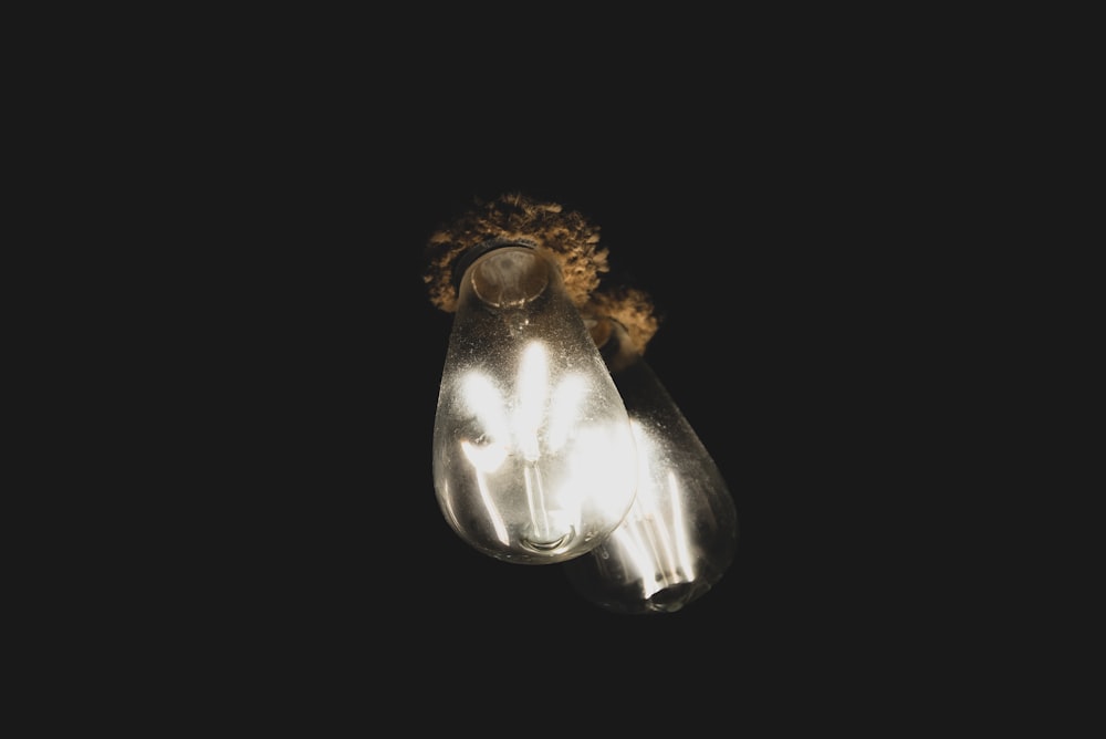 bombillas transparentes encendidas
