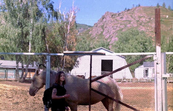 A caring veterinarian examining a large horse in a rural farm setting.