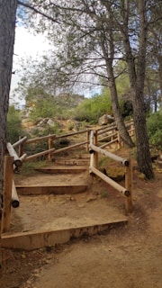 A winding foot trail bordered by rustic wooden railings, dappled with sunlight through tall trees