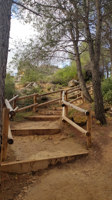 A winding foot trail bordered by rustic wooden railings, dappled with sunlight through tall trees