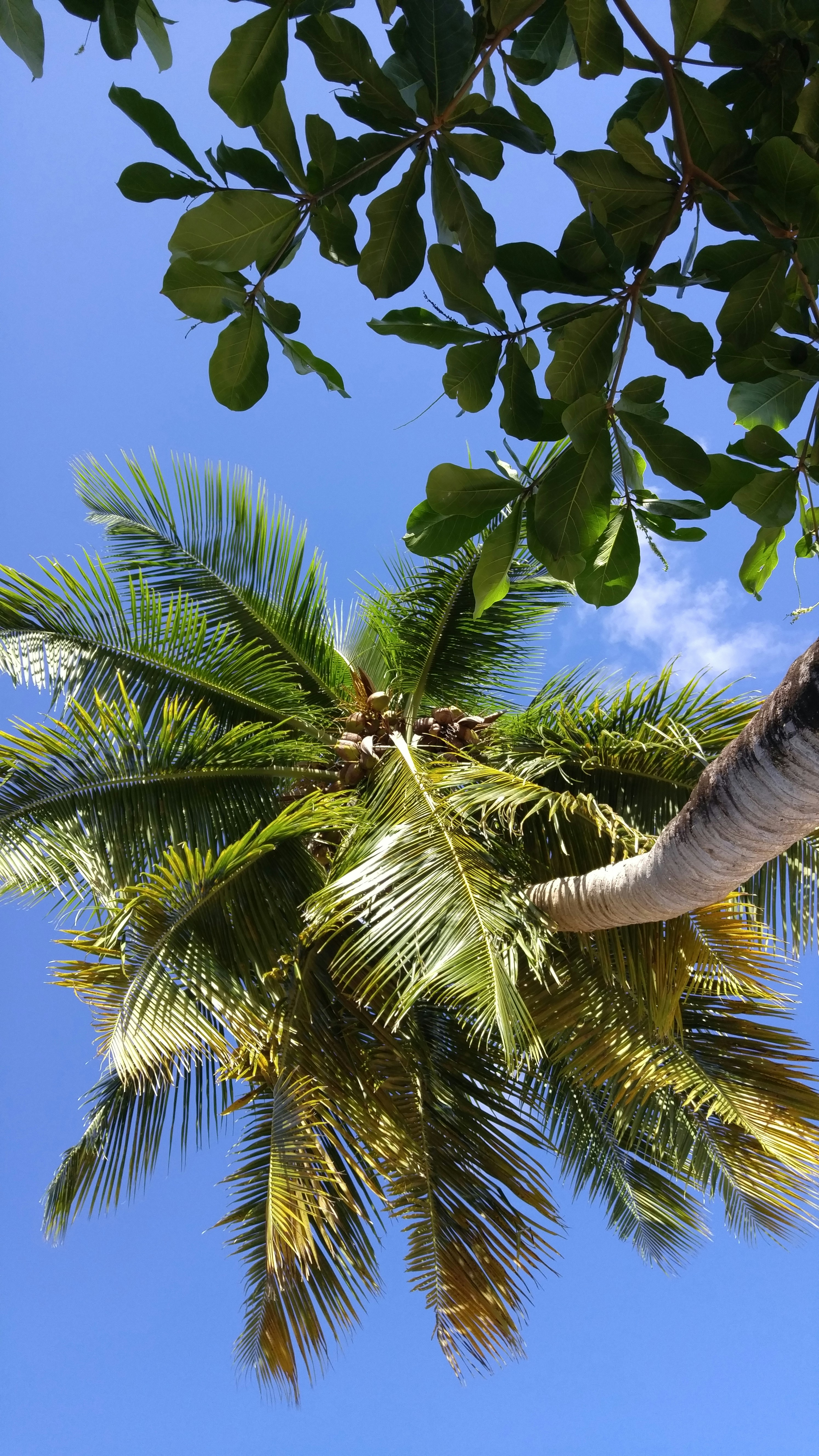 Free Unsplash photo from Heidi Schreiber-pan