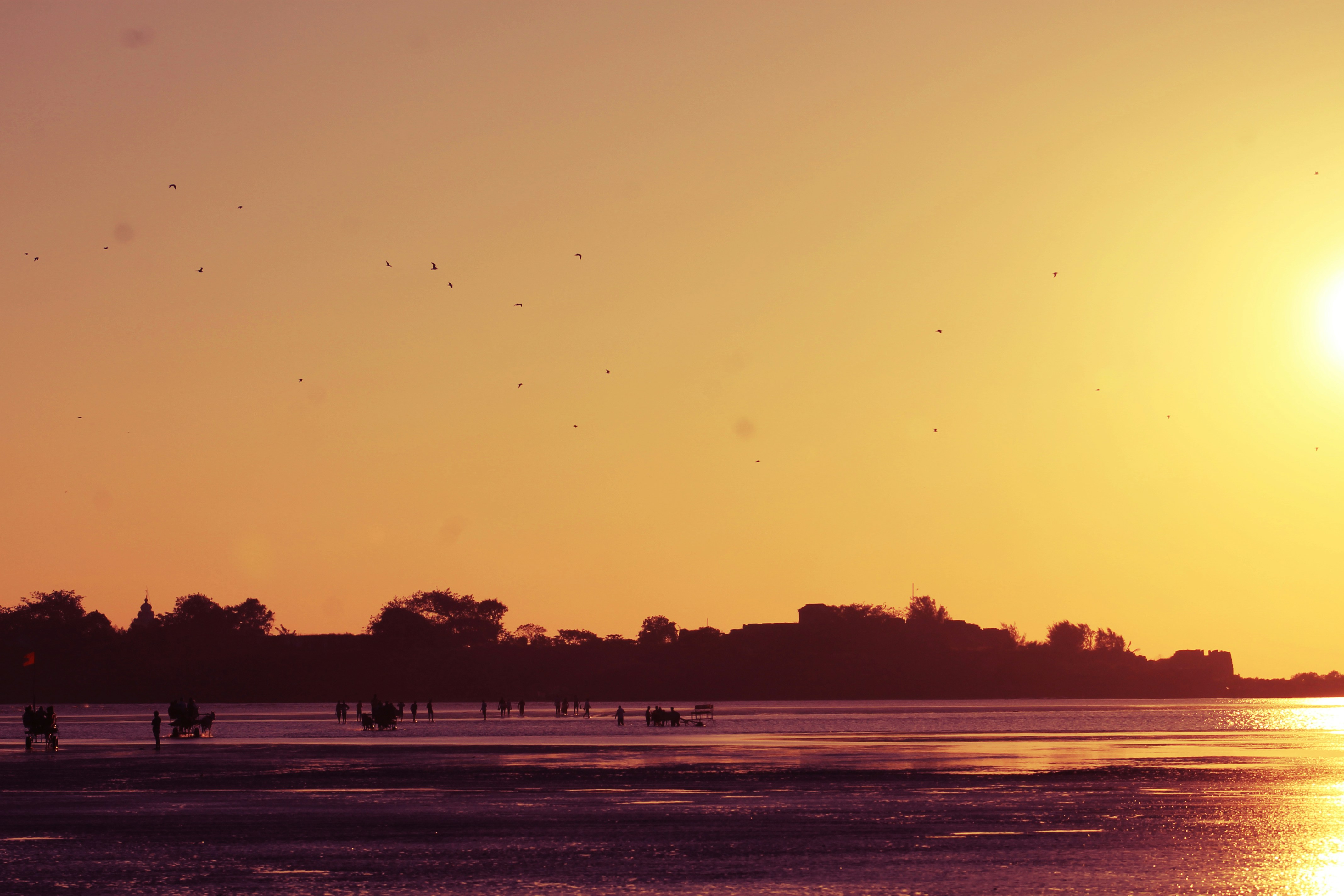 Free Unsplash photo from Ketki Raut