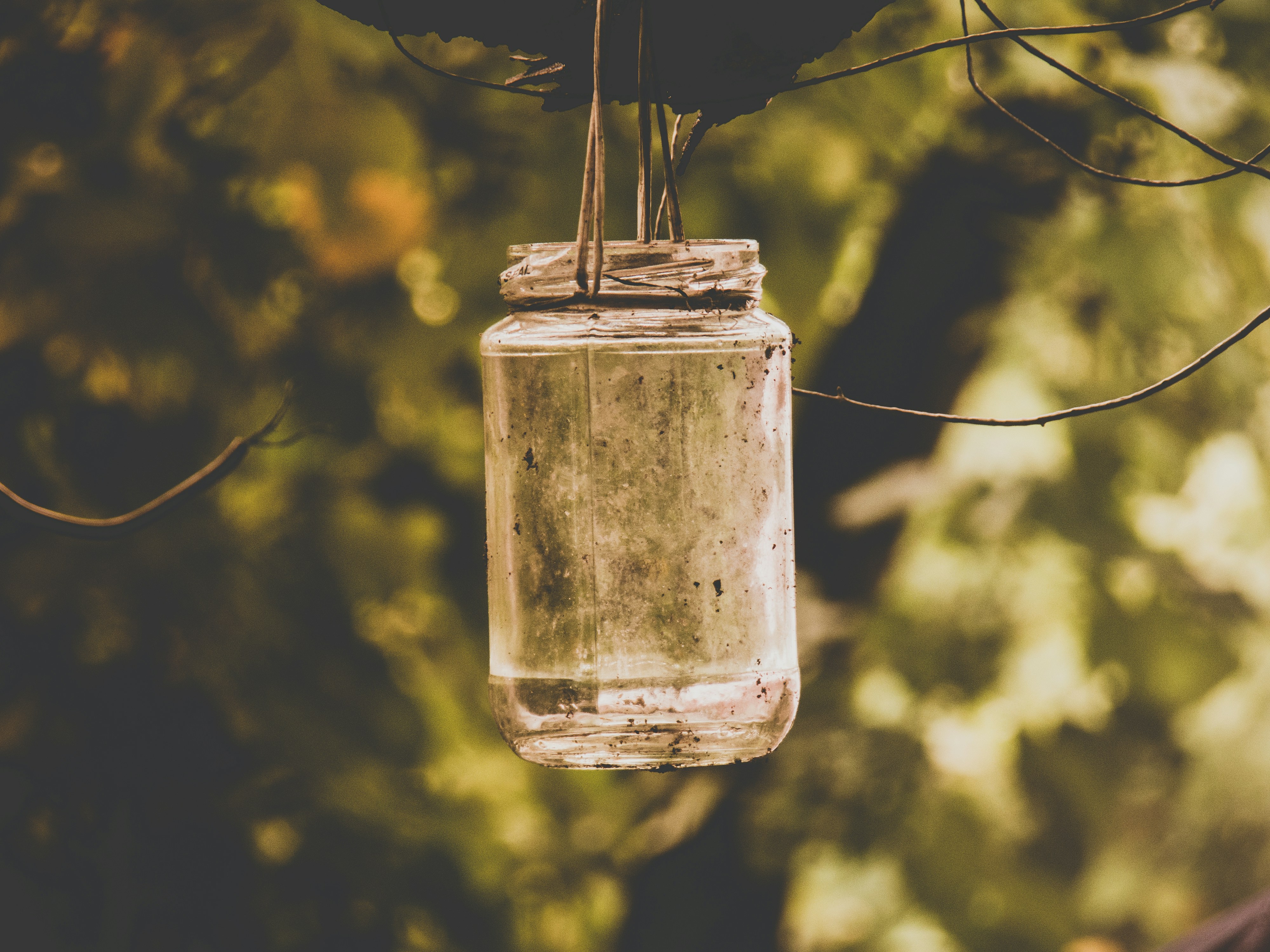 Free Unsplash photo from Mohamed Lammah