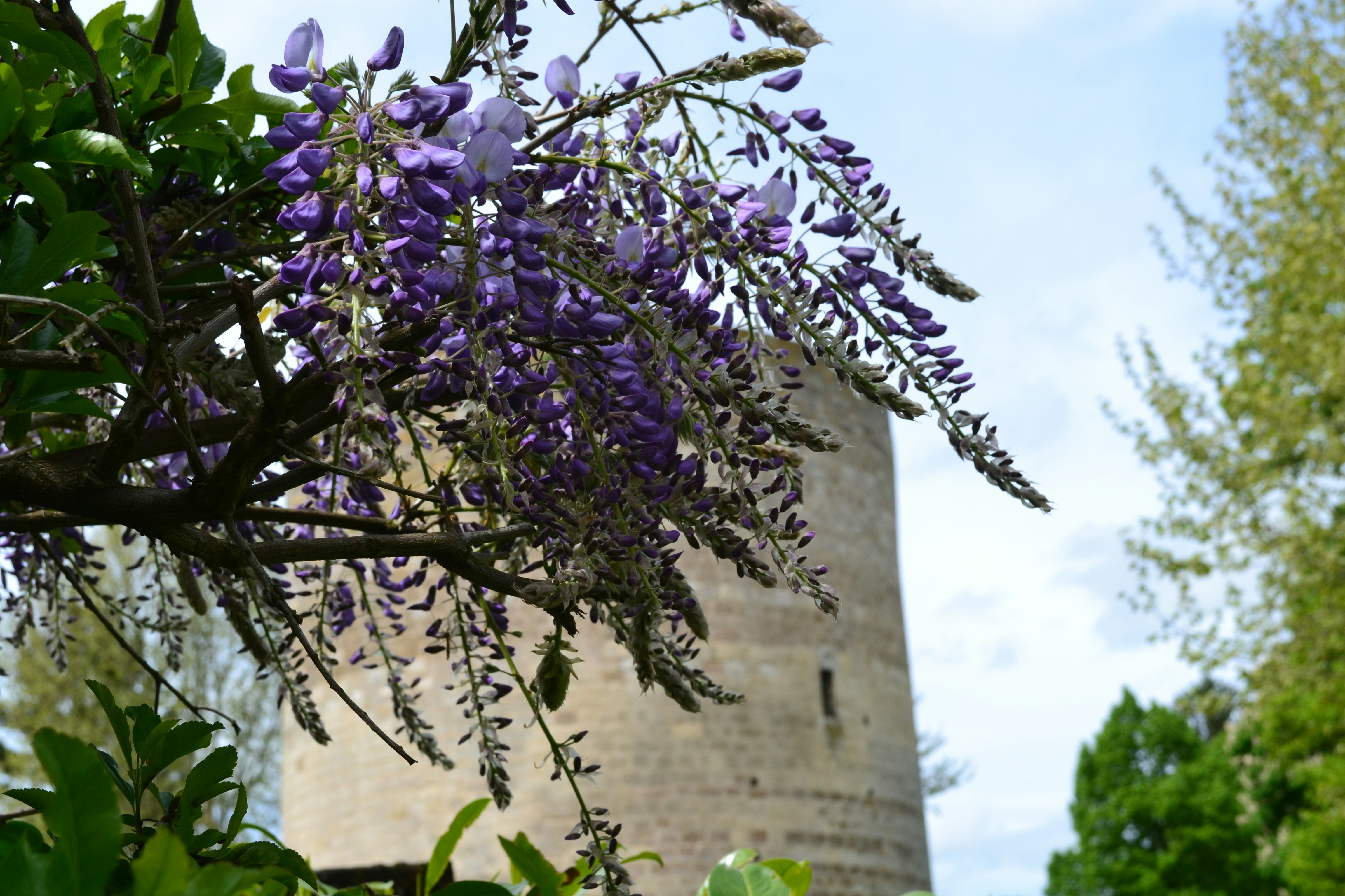 Free Unsplash photo from Thierry E