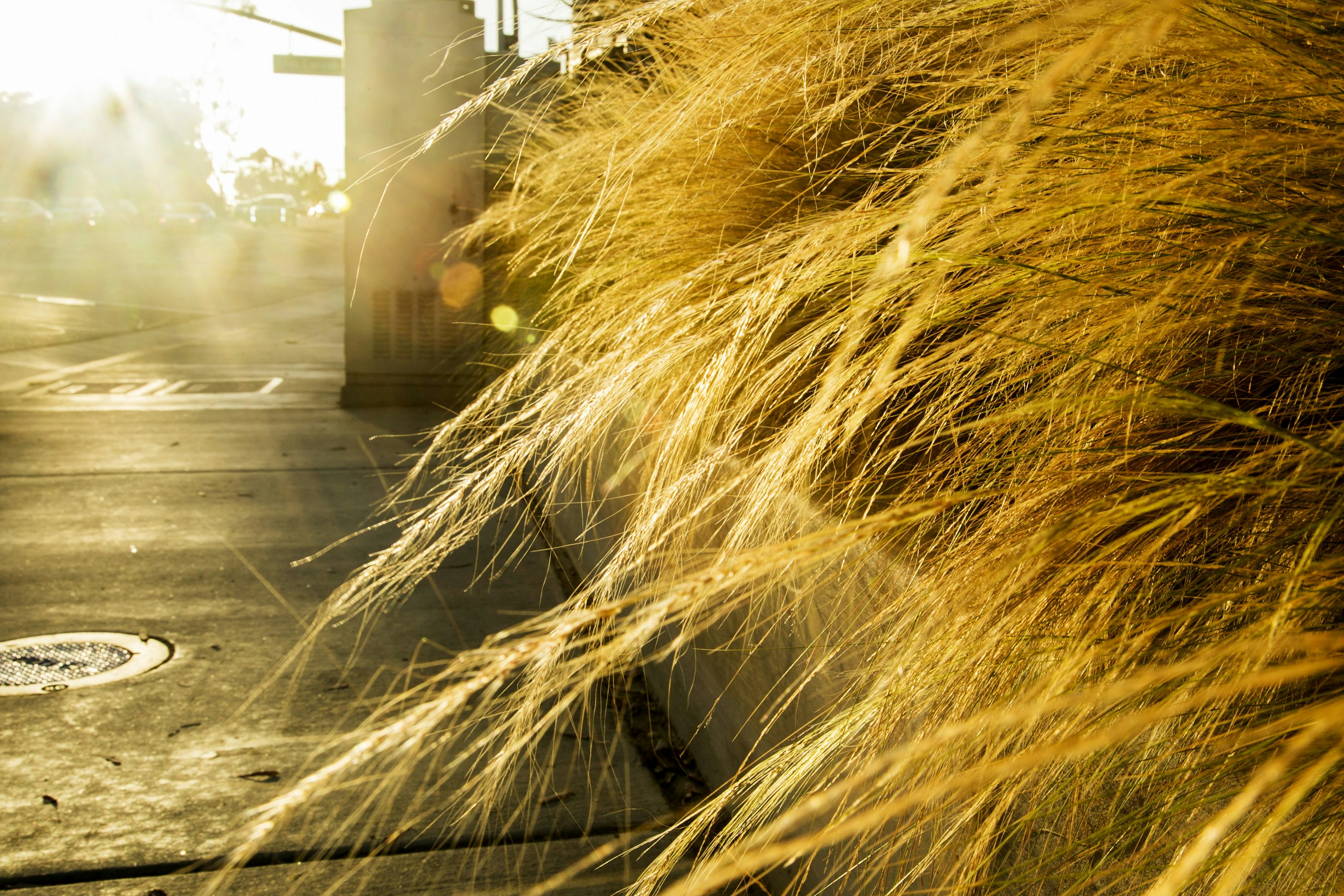 Free Unsplash photo from YUNXI SHI