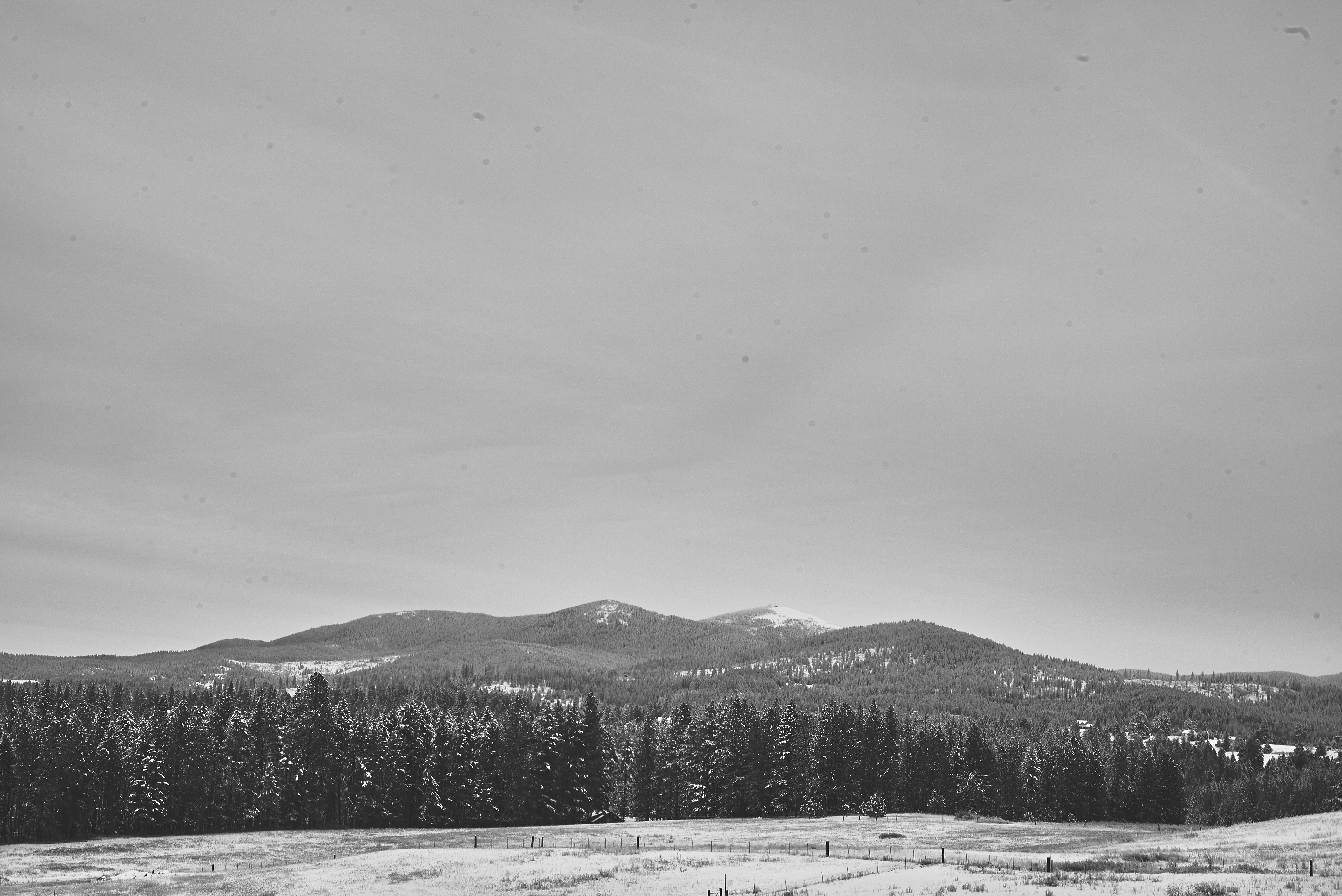 Free Unsplash photo from Max Delsid