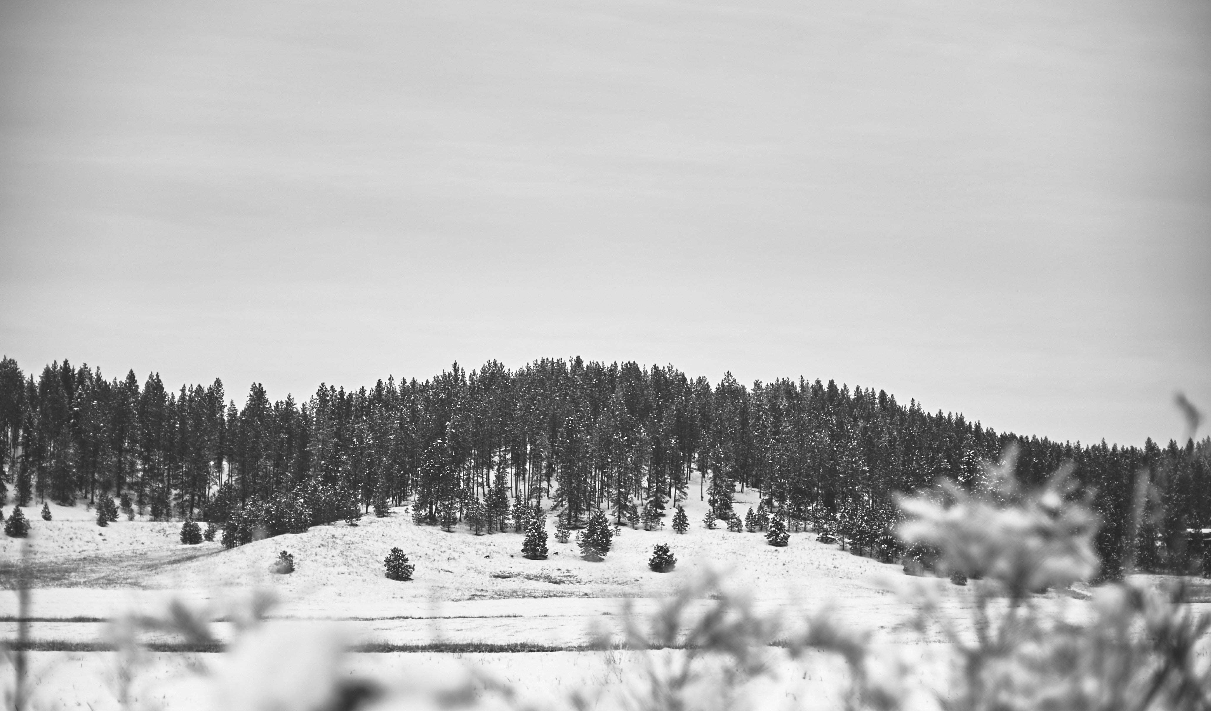 Free Unsplash photo from Max Delsid