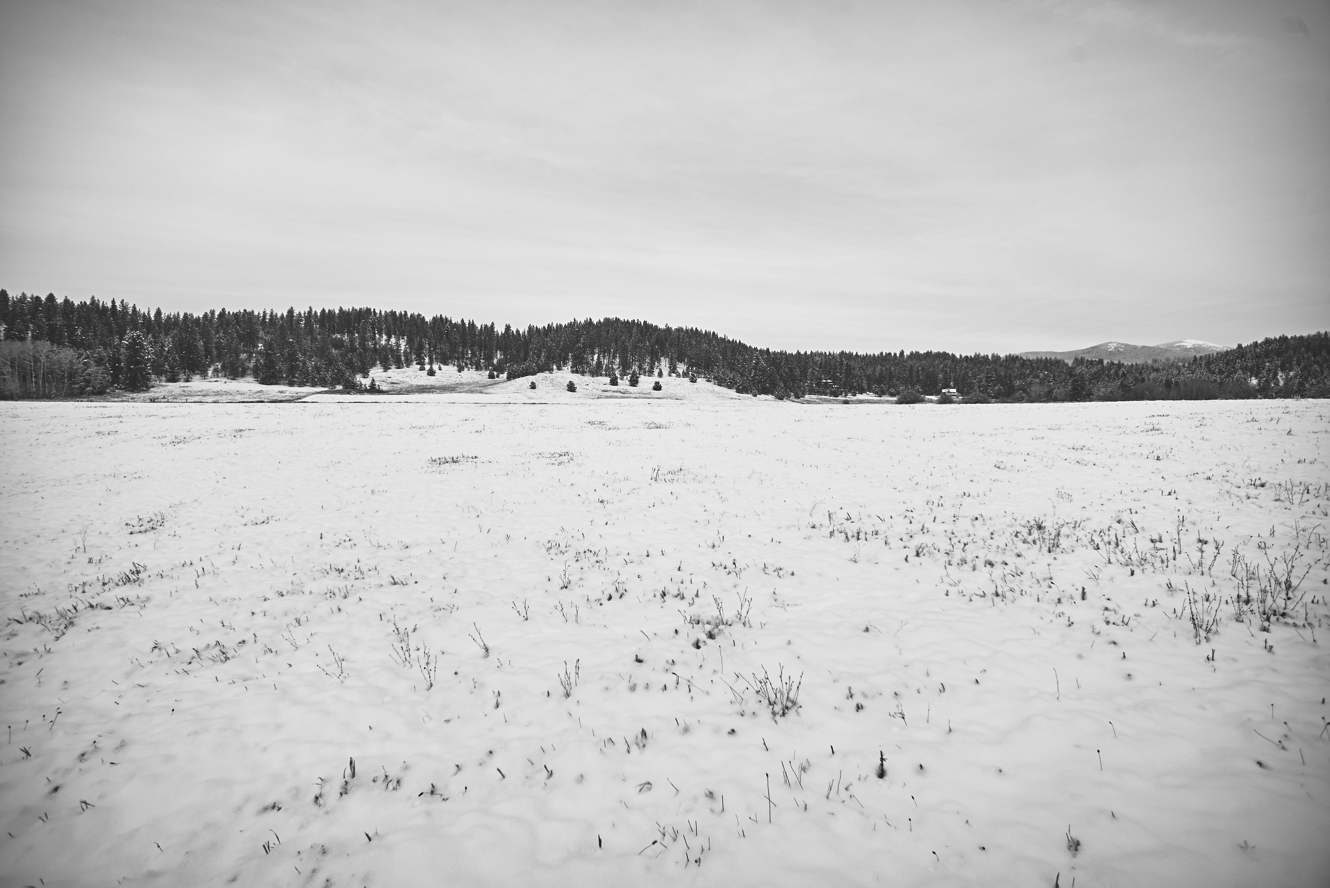 Free Unsplash photo from Max Delsid