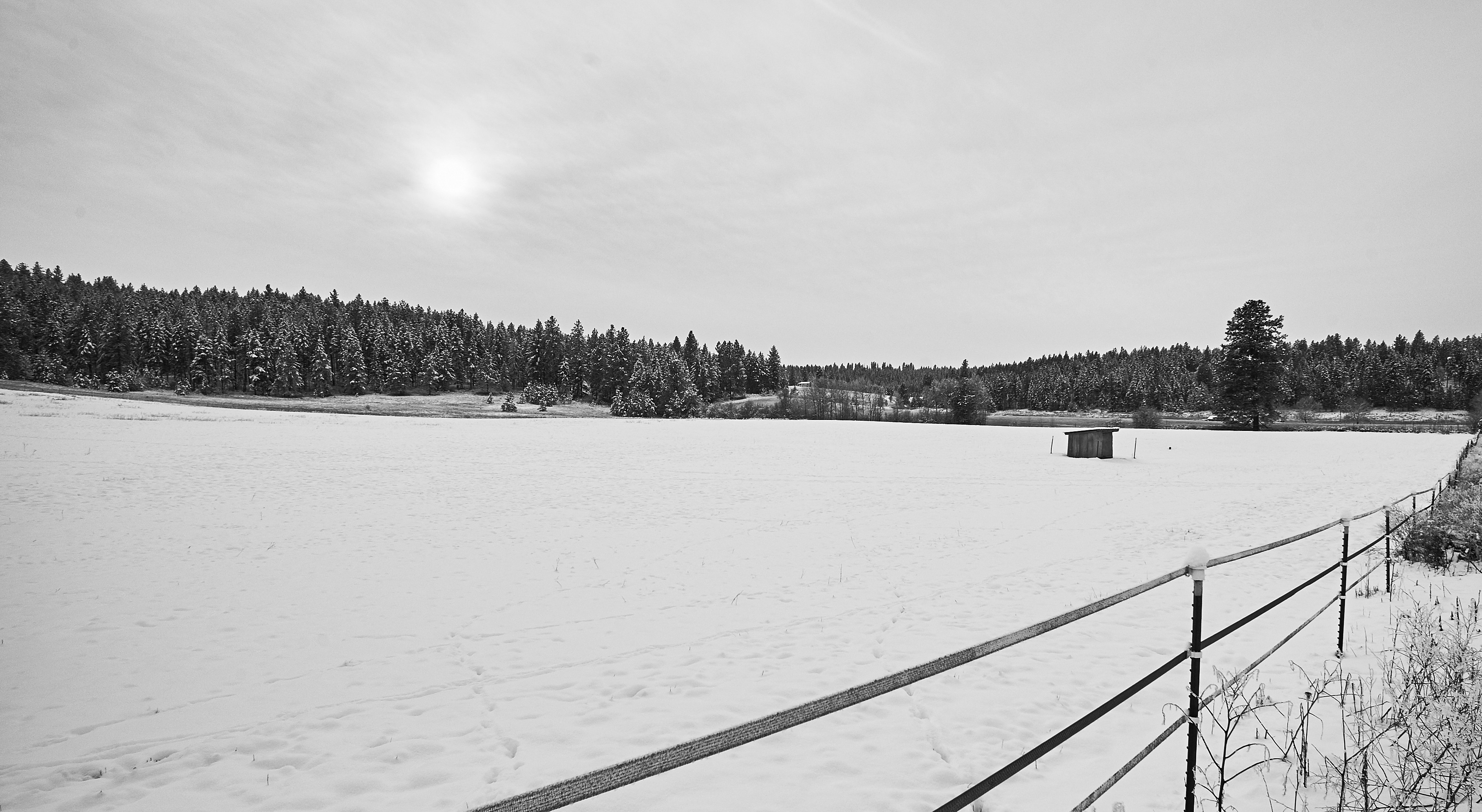 Free Unsplash photo from Max Delsid