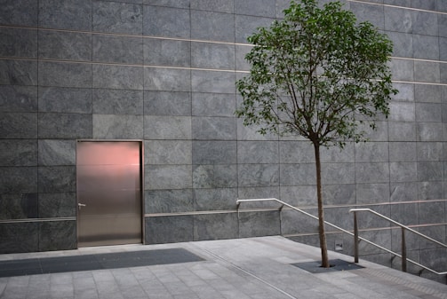leafed tree near door