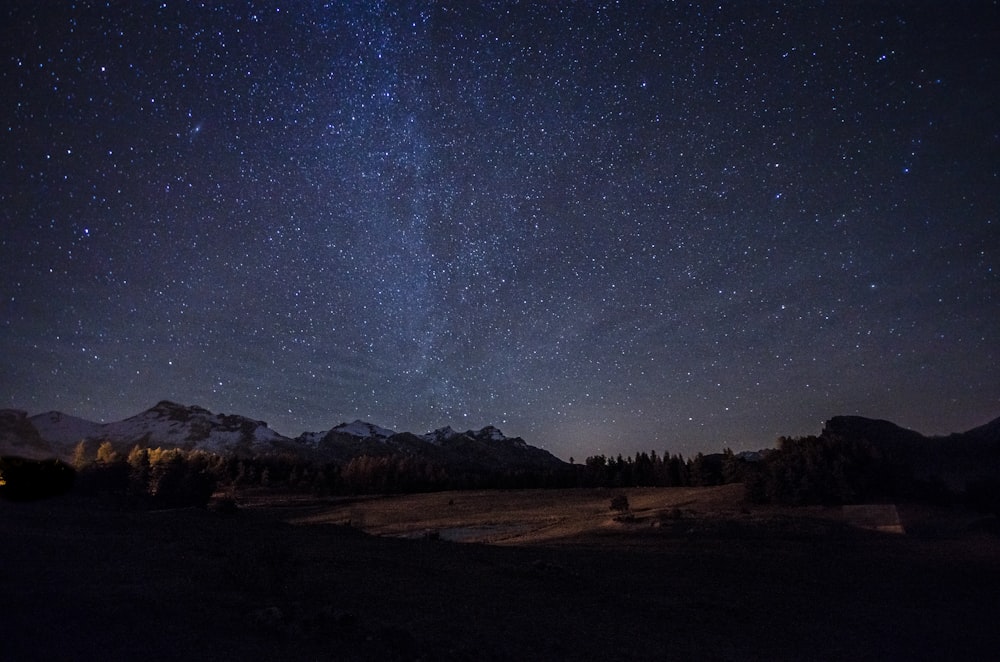 Foto eines Berges mit Bäumen in der Nacht