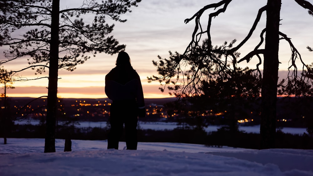 silhouette of person in between two trees