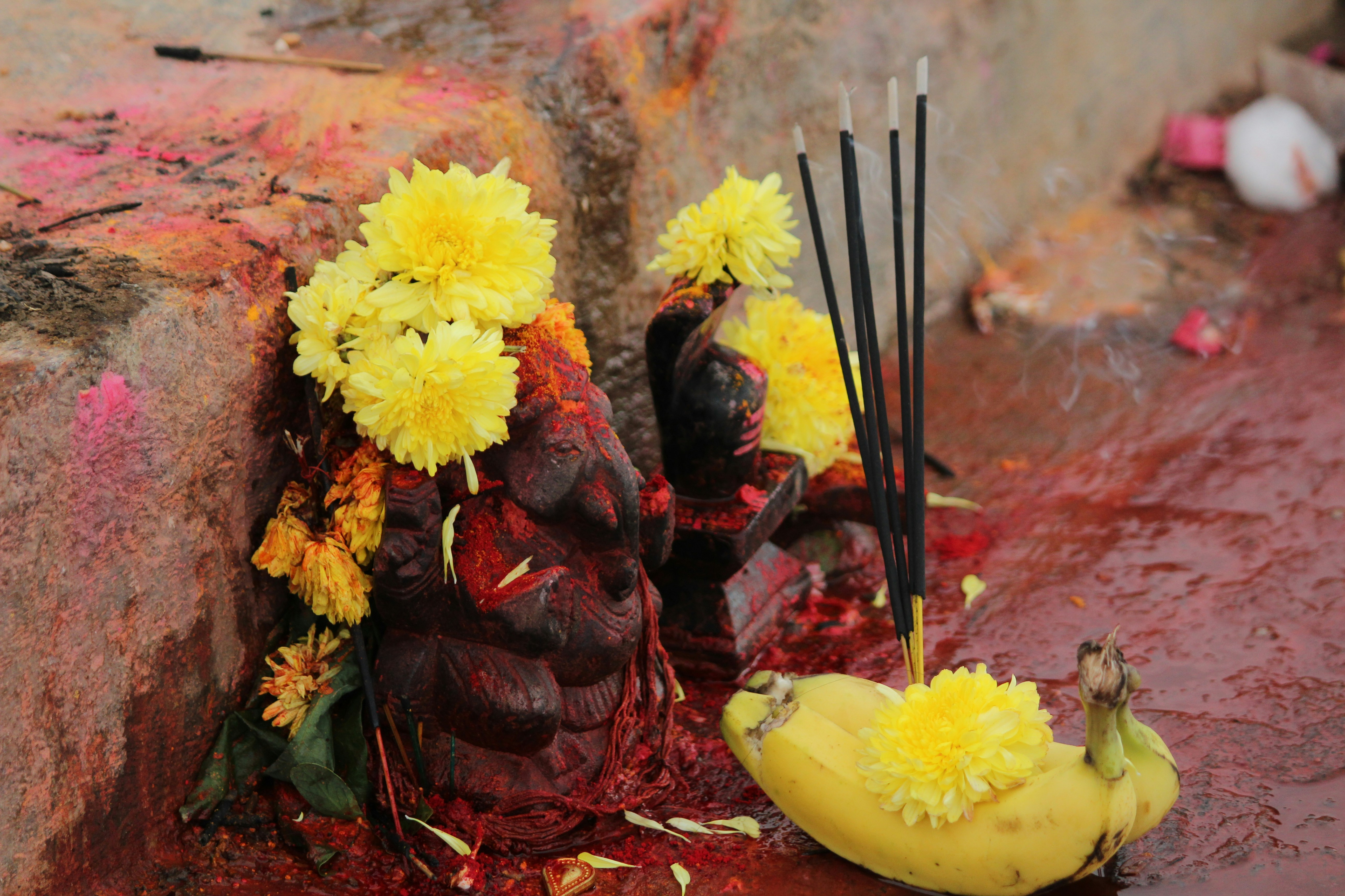 Free Unsplash photo from Nataraj Rao