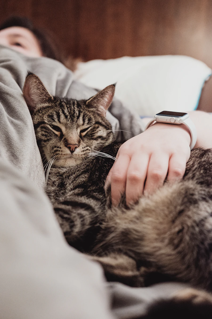 Pet sitter enjoying morning snuggles with a gray tabby cat during an in-home cat sitting visit