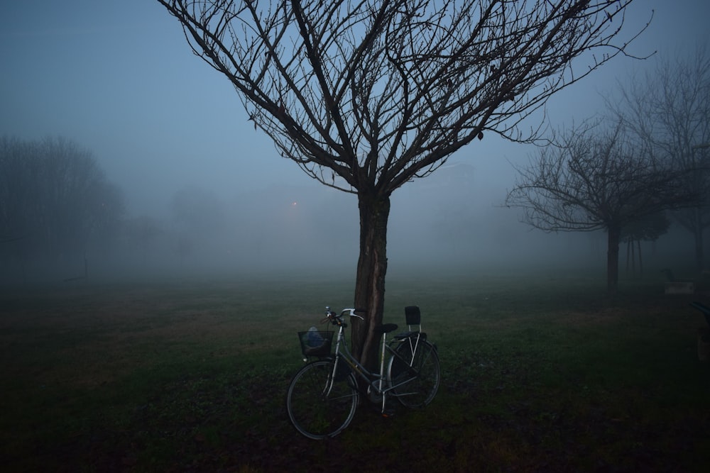 Uma grande árvore com uma bicicleta encostada nela.