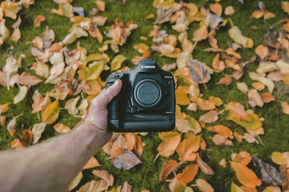 persona sosteniendo una cámara Canon DSLR