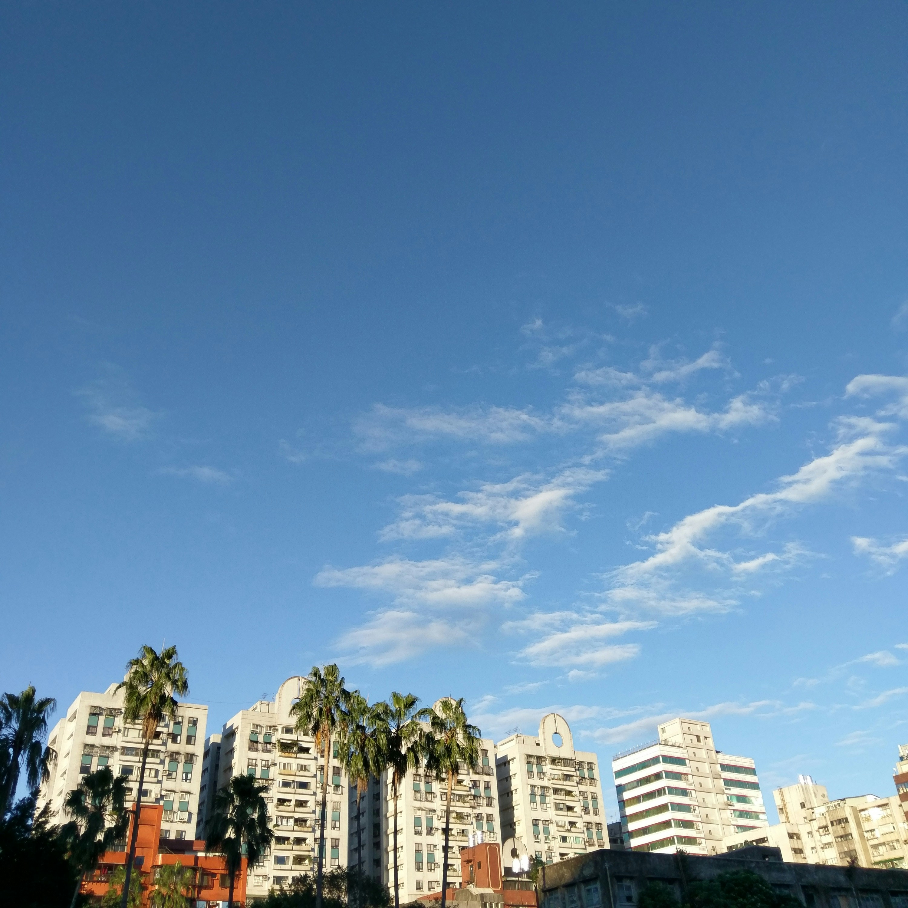 Free Unsplash photo from E J Lin